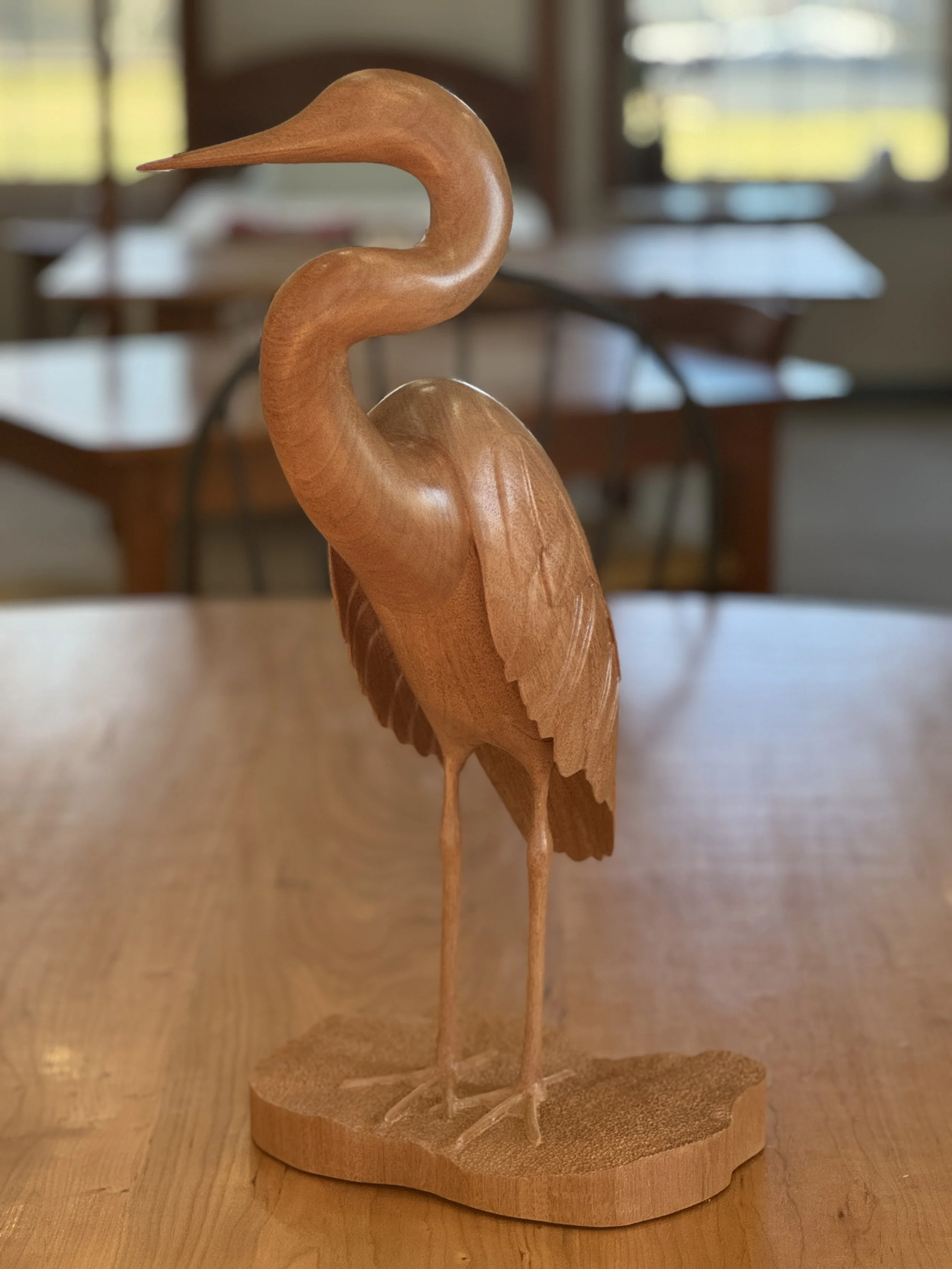 Blue Heron Searching, front view