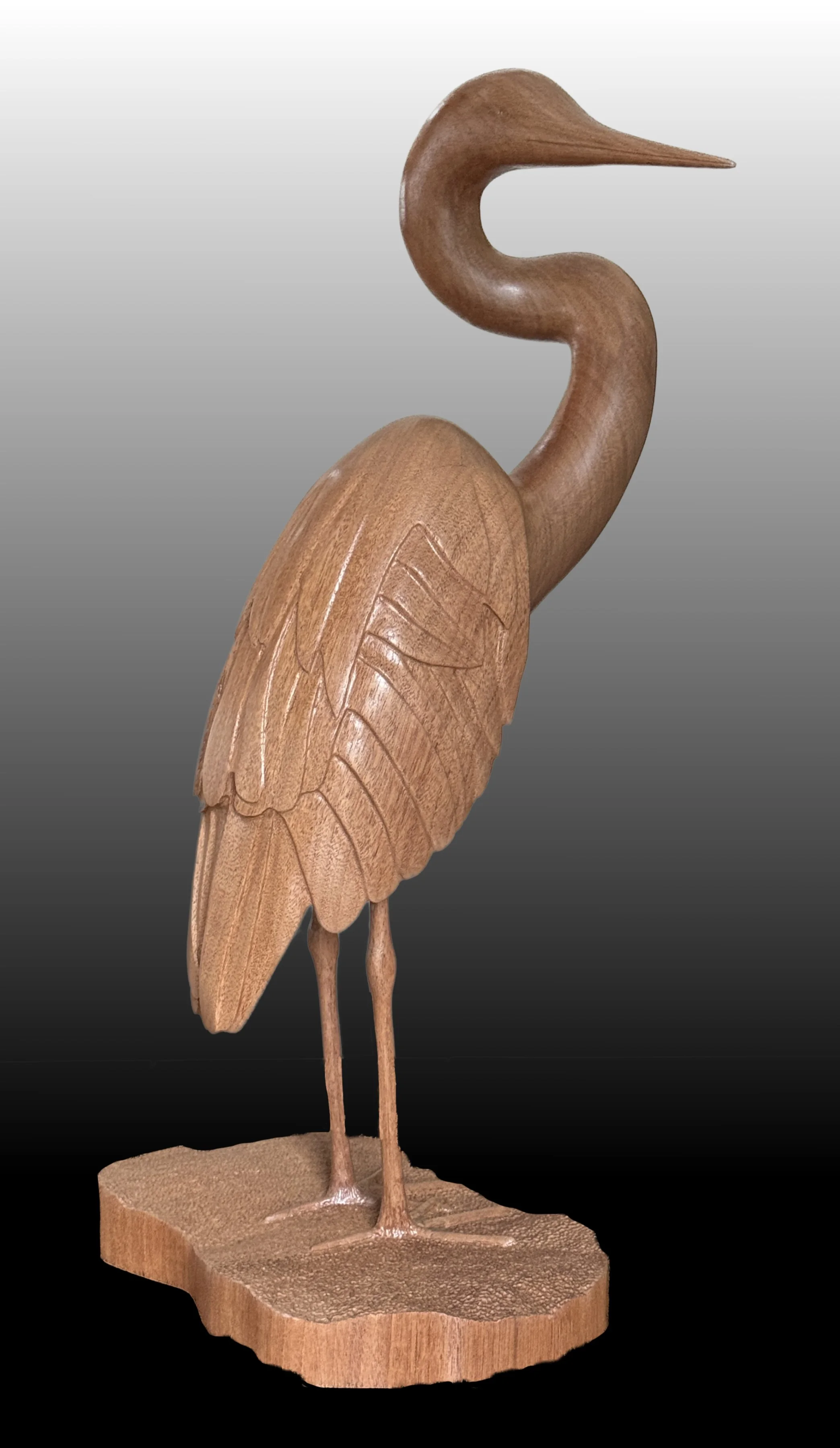 Blue Heron Searching, facing right