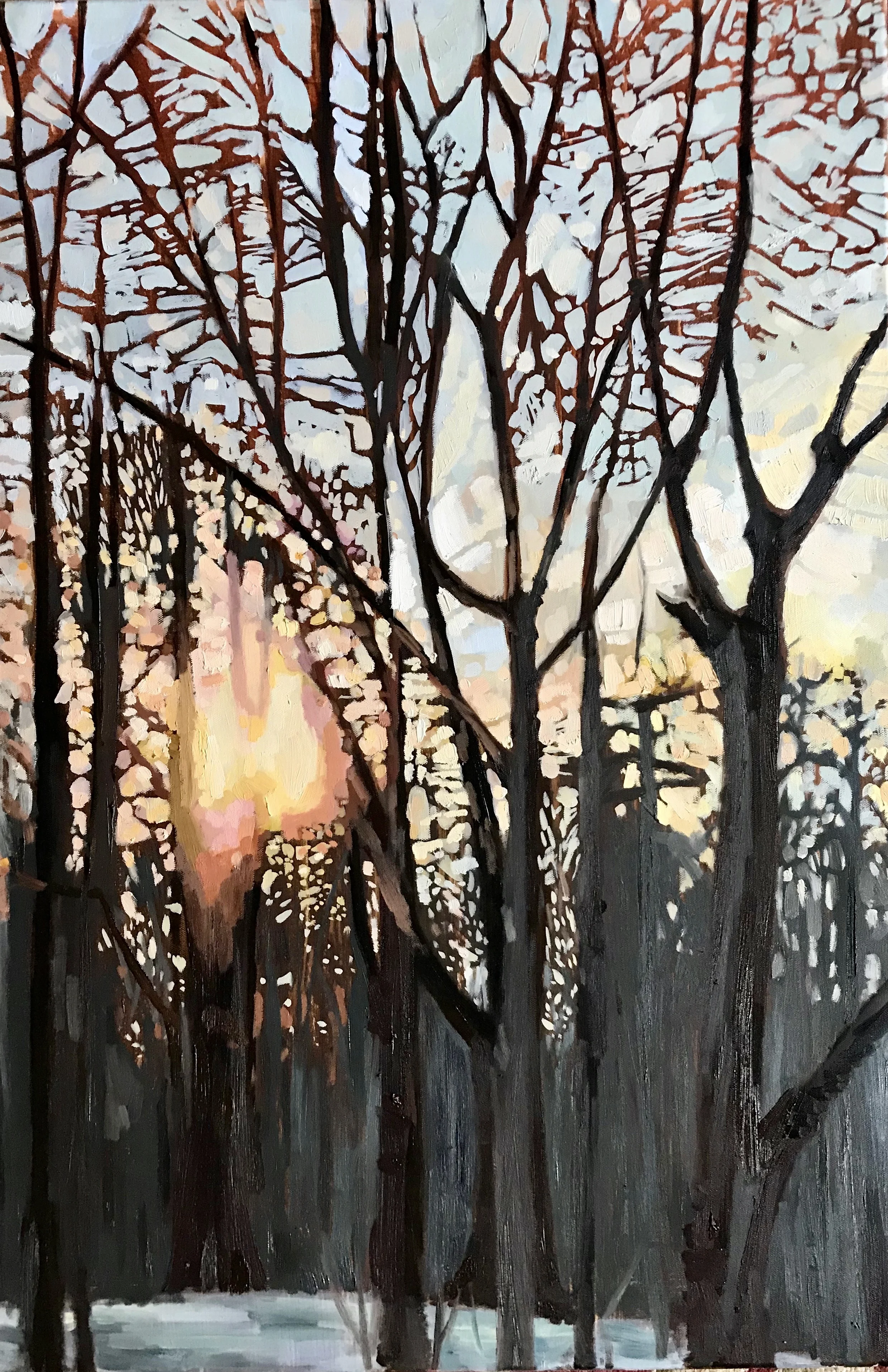 Thou Rising Morn in Praise Rejoice