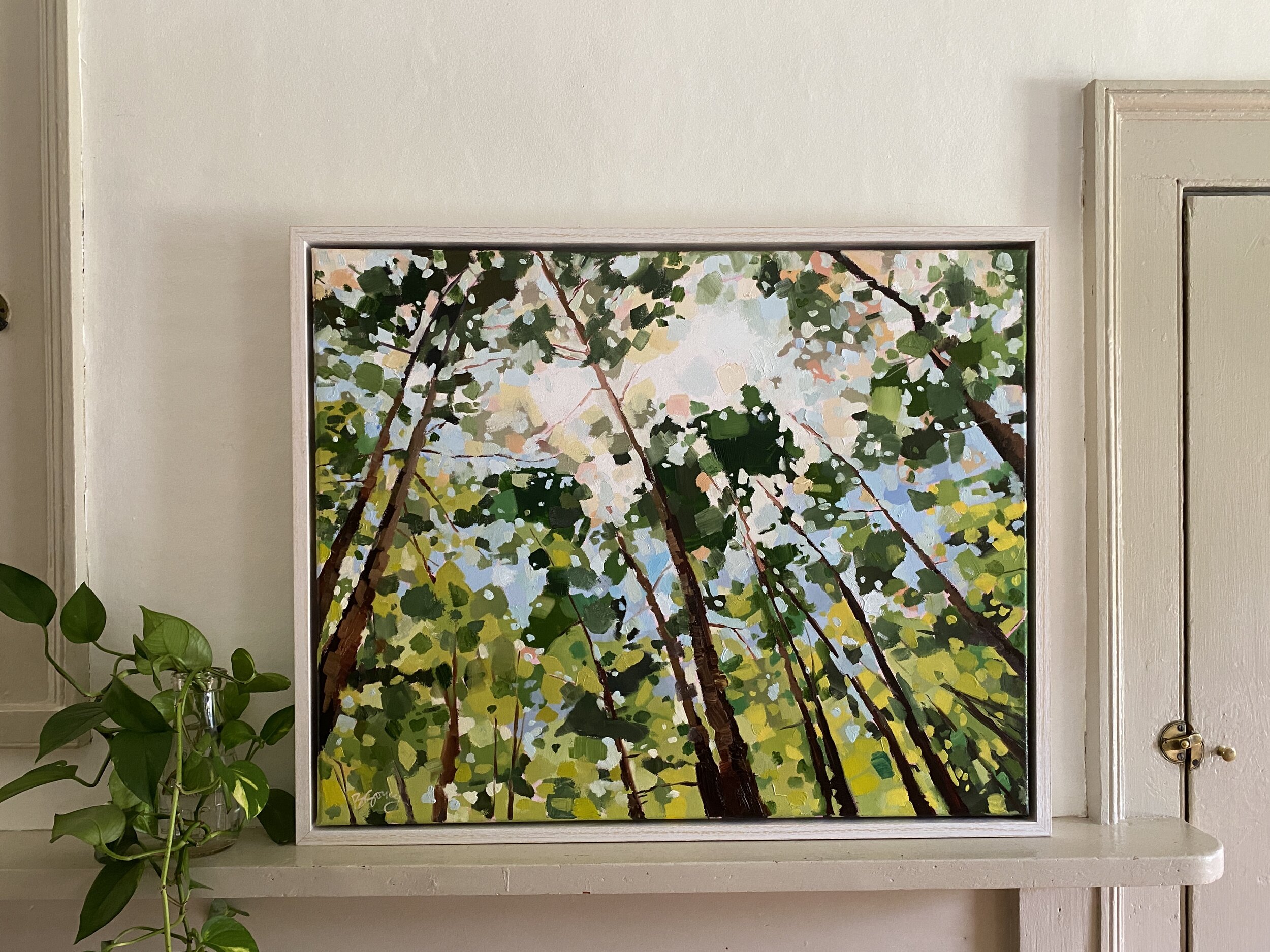 Looking Up // a 24x30 oil painting