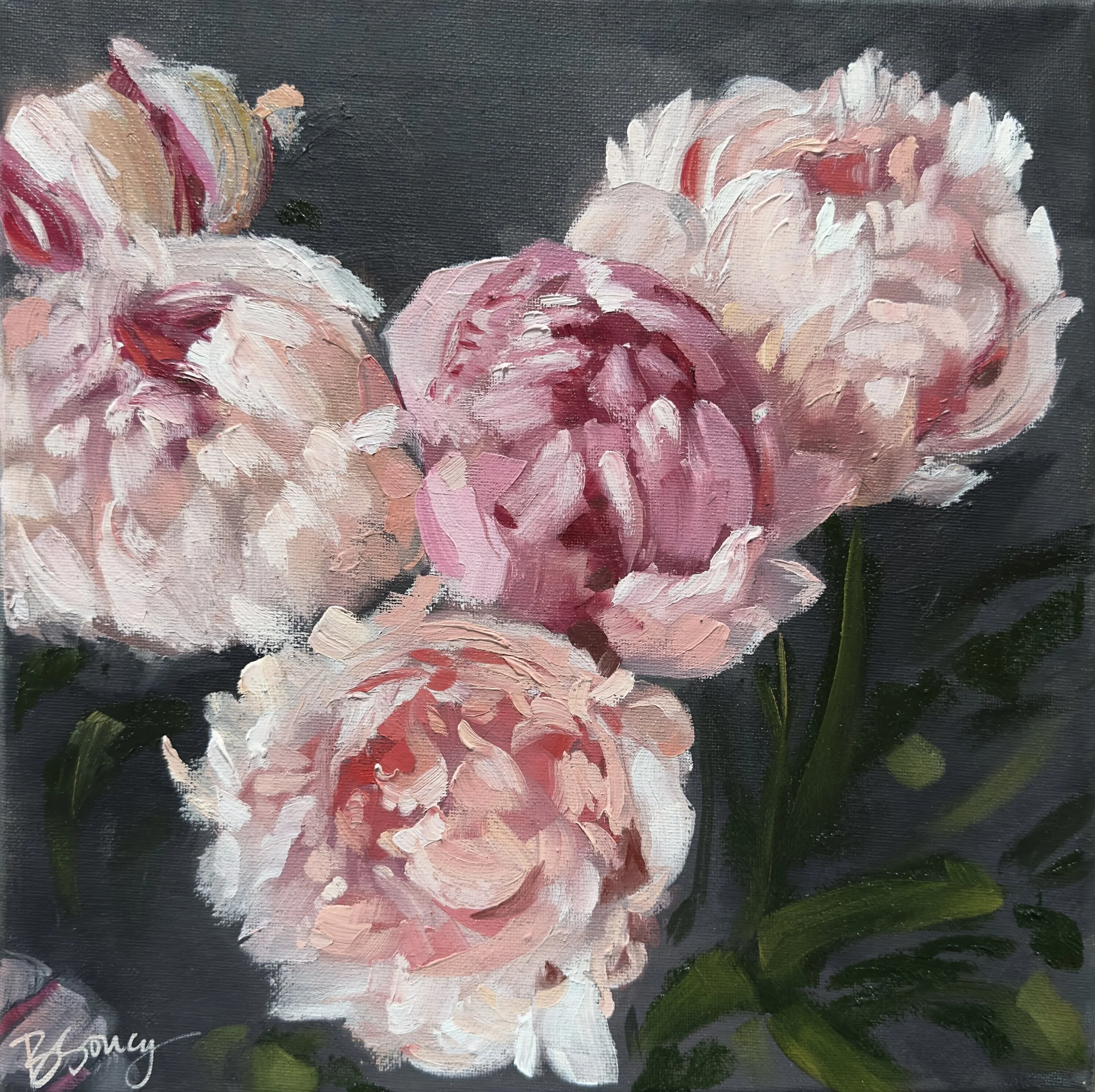 In Bloom // a 12x12 oil painting