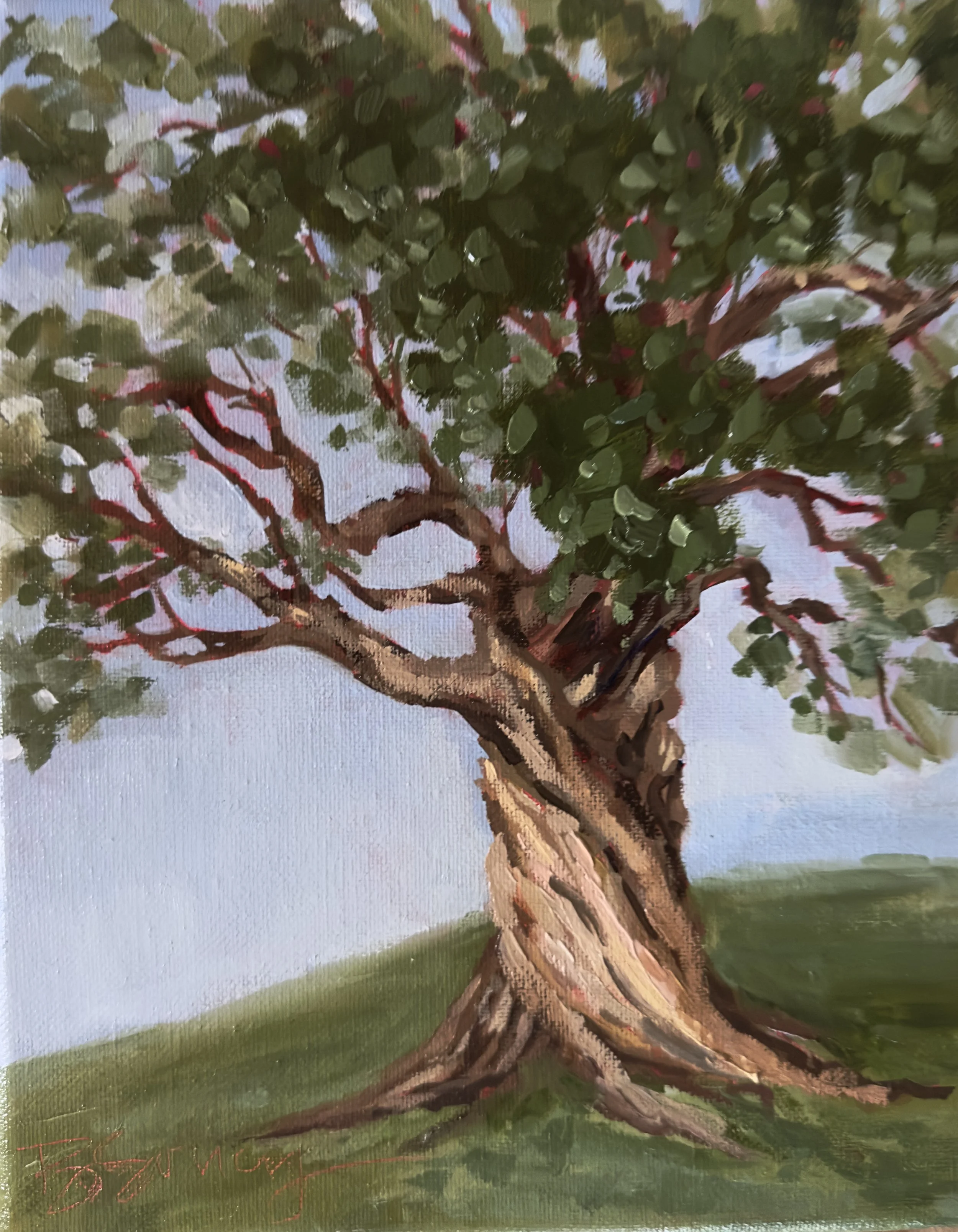 Slow Growth//an 8x10 oil painting