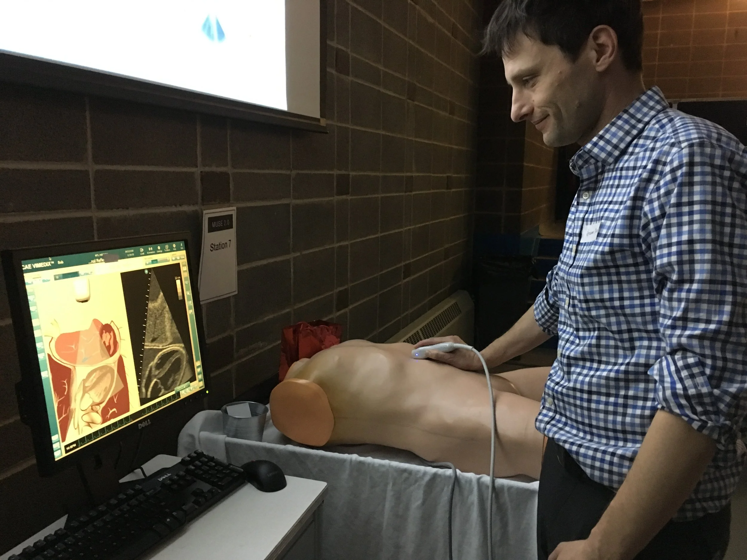 Cardiac/Abdominal simulator with programmed pathology