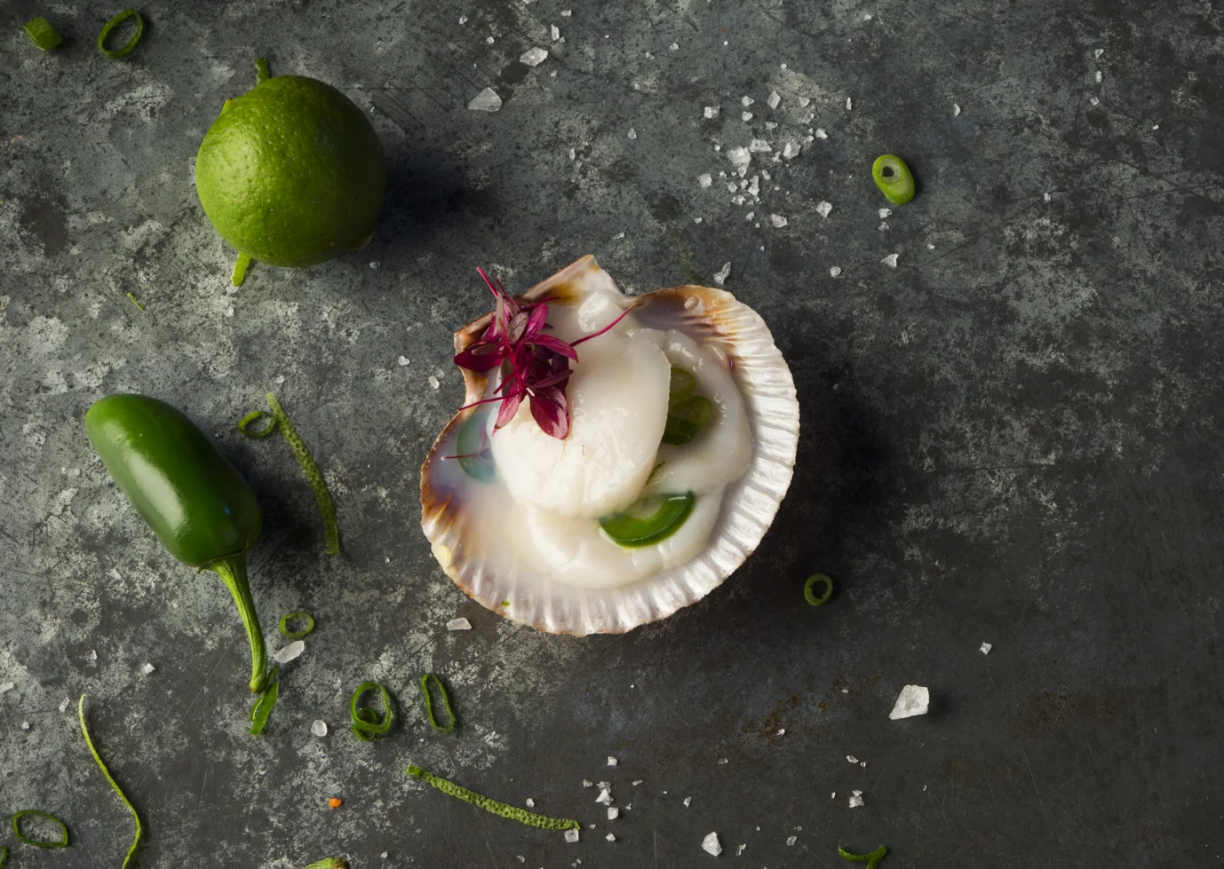 Scallop Ceviche