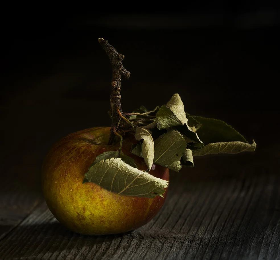 FallenApple.jpg