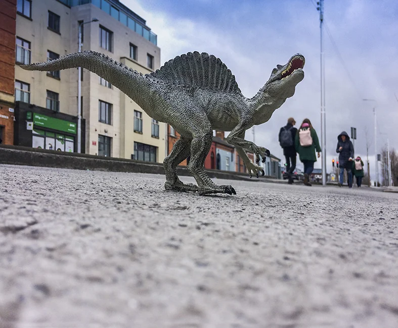 What it may have looked like in the Jurassic Period on the North Strand.