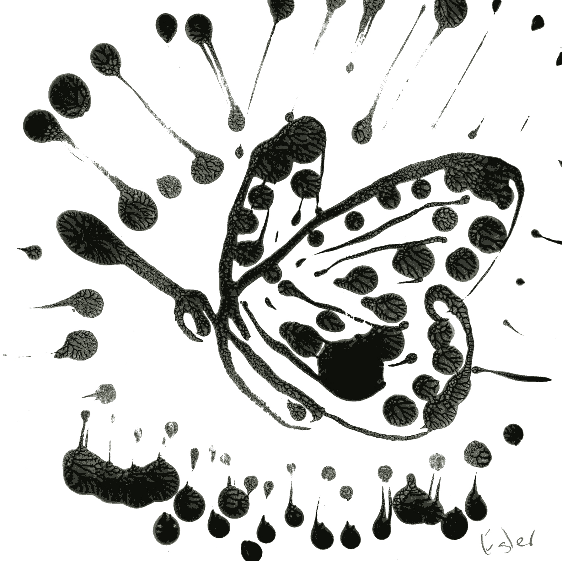 Butterfly_JenniferEgler.jpg