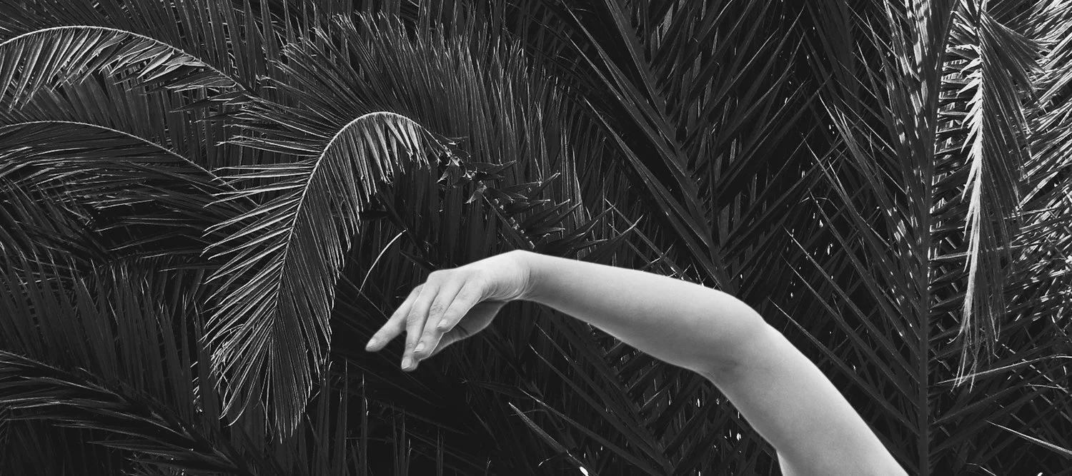 Teen Shoot And Share: The Living Landscape