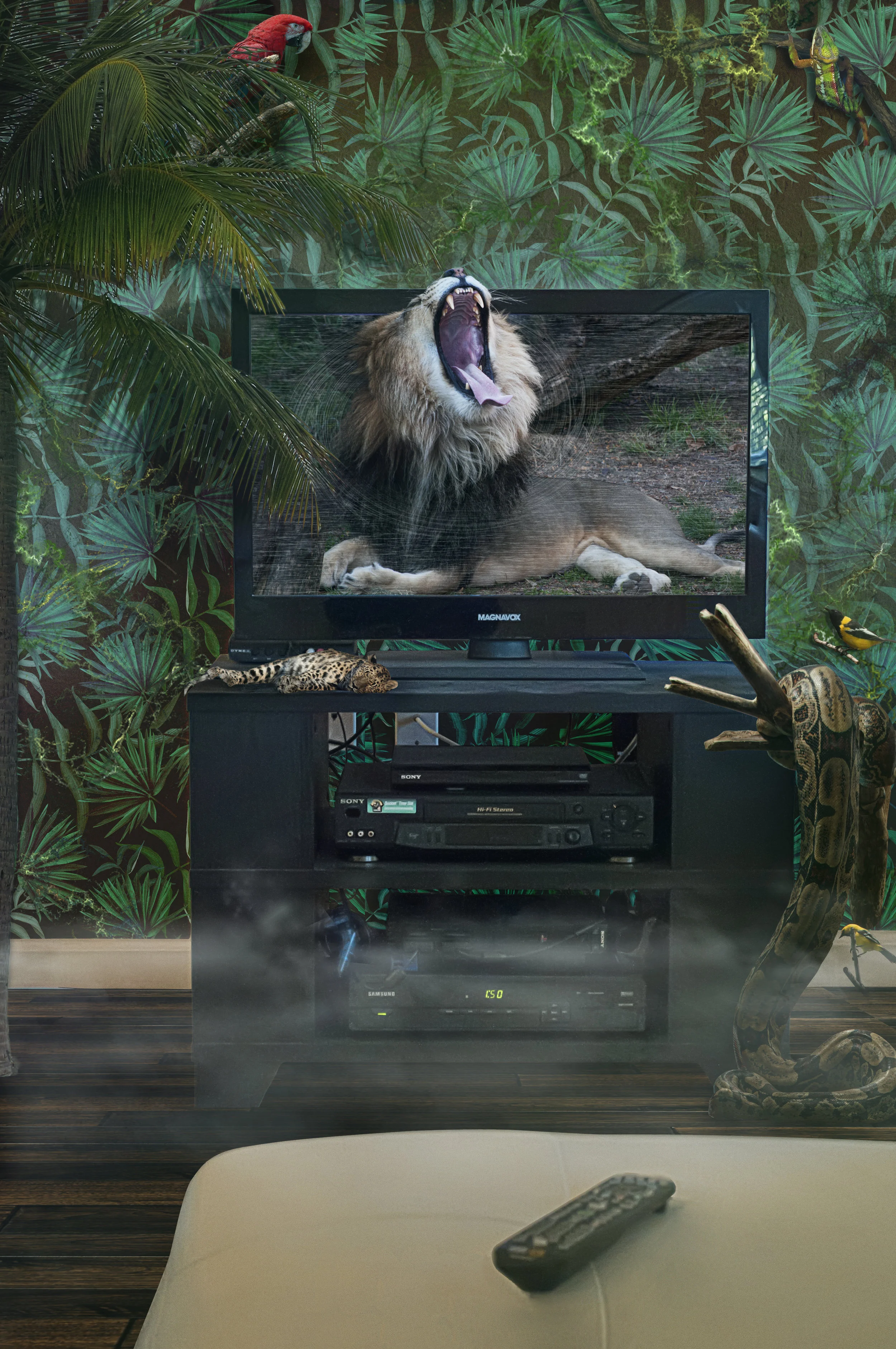 LIVING TV SHOW.jpg