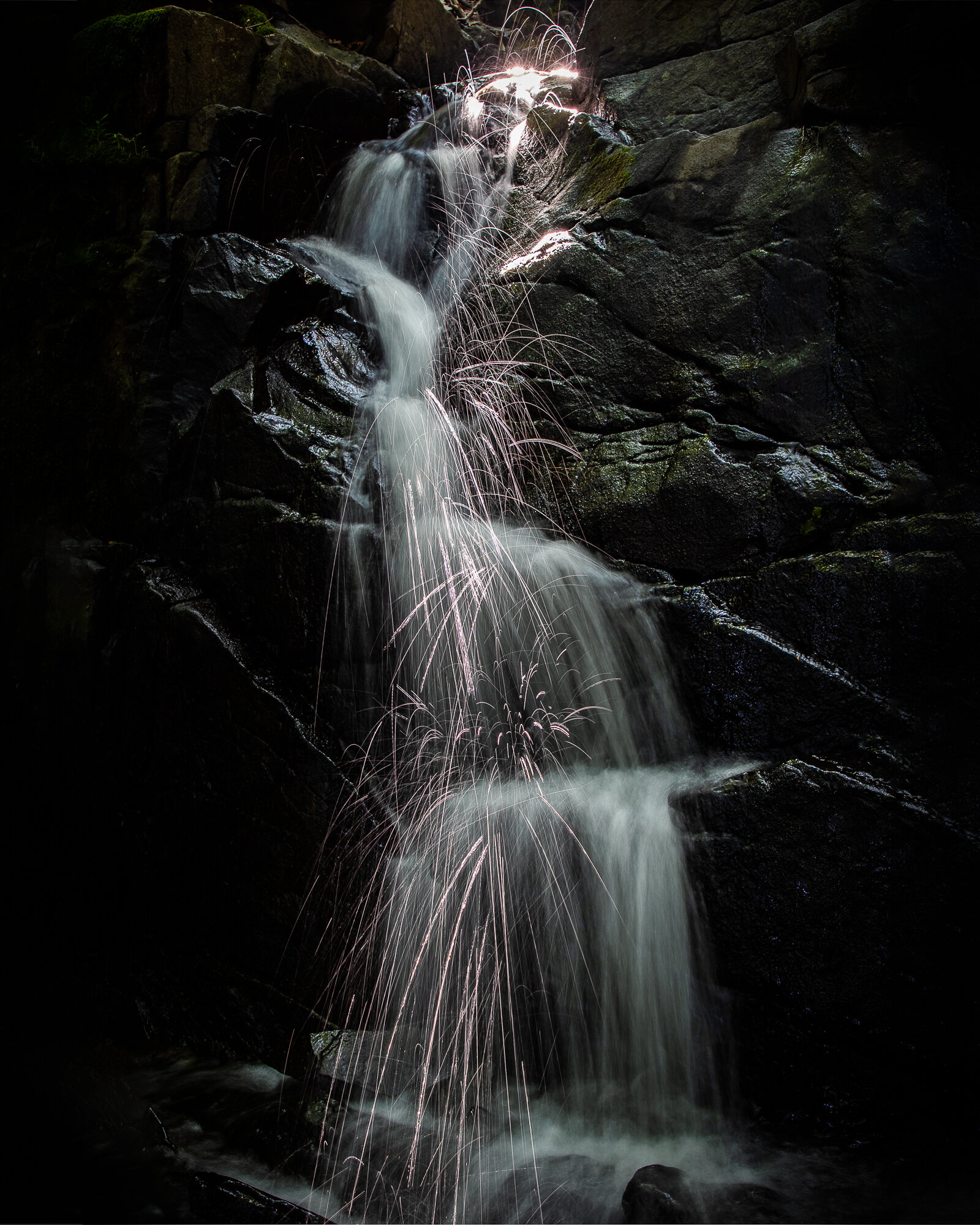   Thomas Miller    Waterfall   