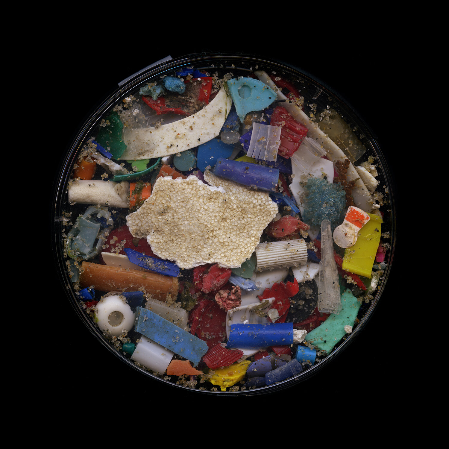  Elizabeth Ellenwood   Collection #25 , 2019  Location: Napatree Point, Wach Hil, RI   From the series: Sand and Plastic Collection  Digital Inkjet Print  