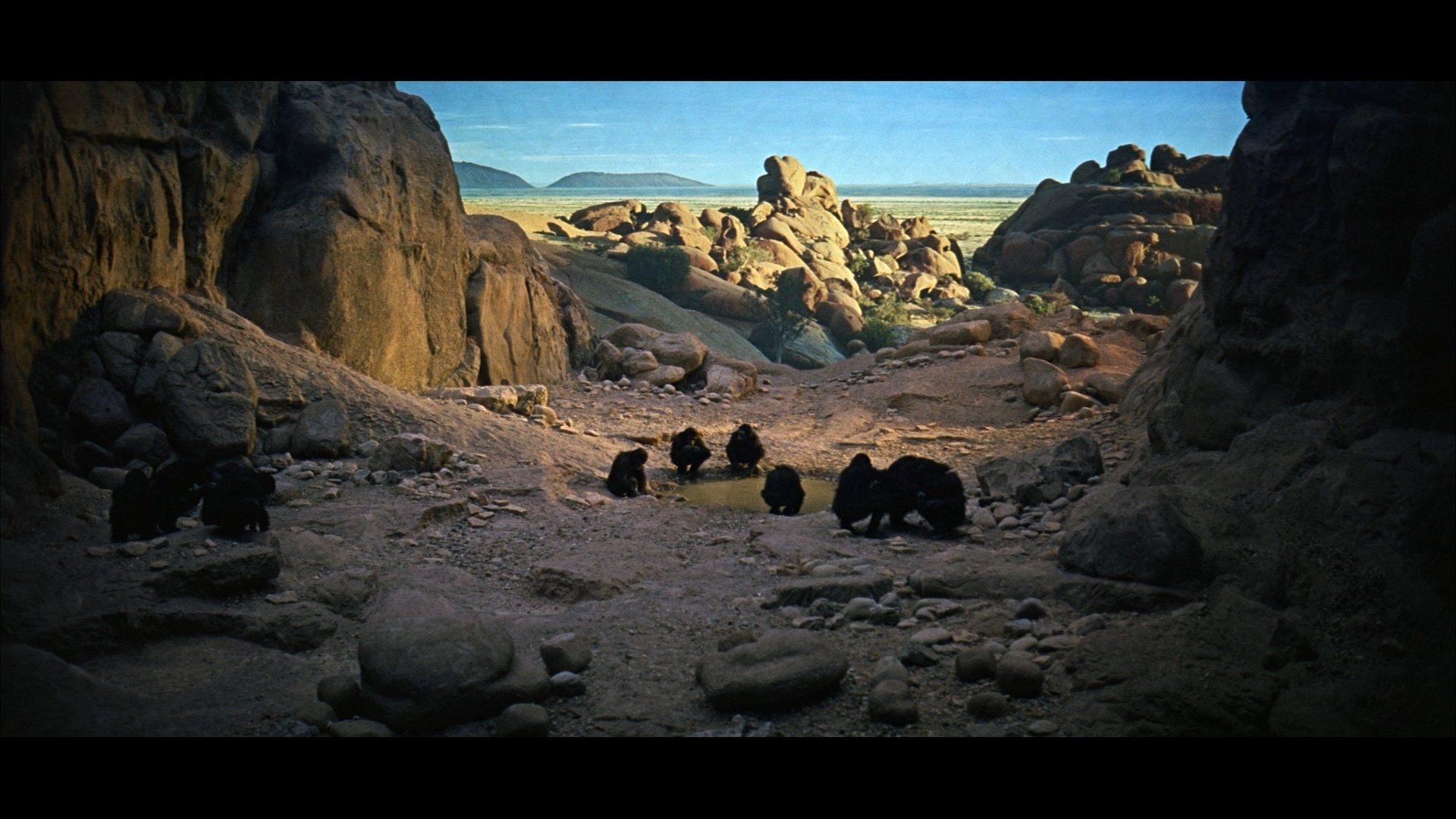 2001: A Space Odyssey (1968) - Film Screening