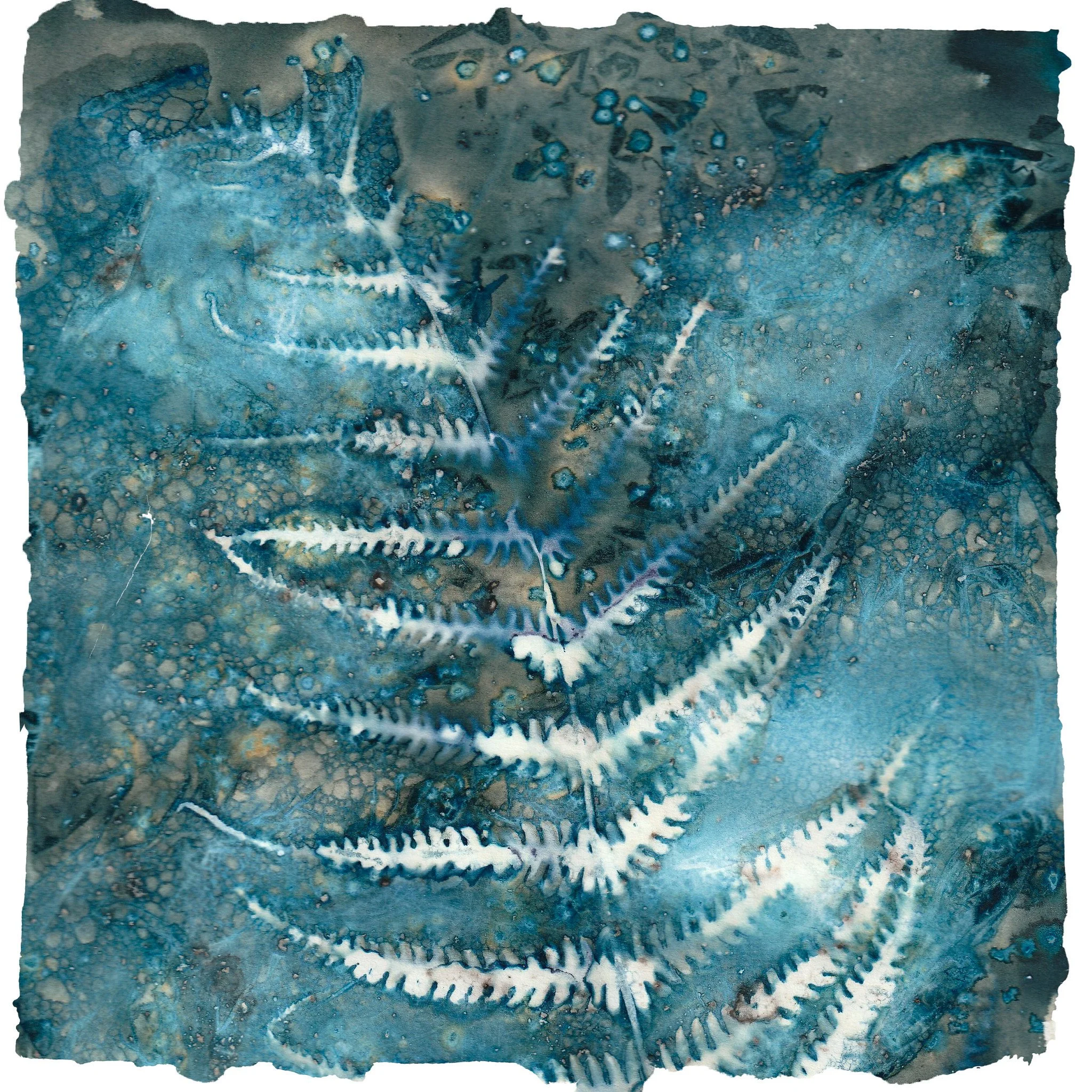 Cyanotype Demonstration with Janet Bernardini
