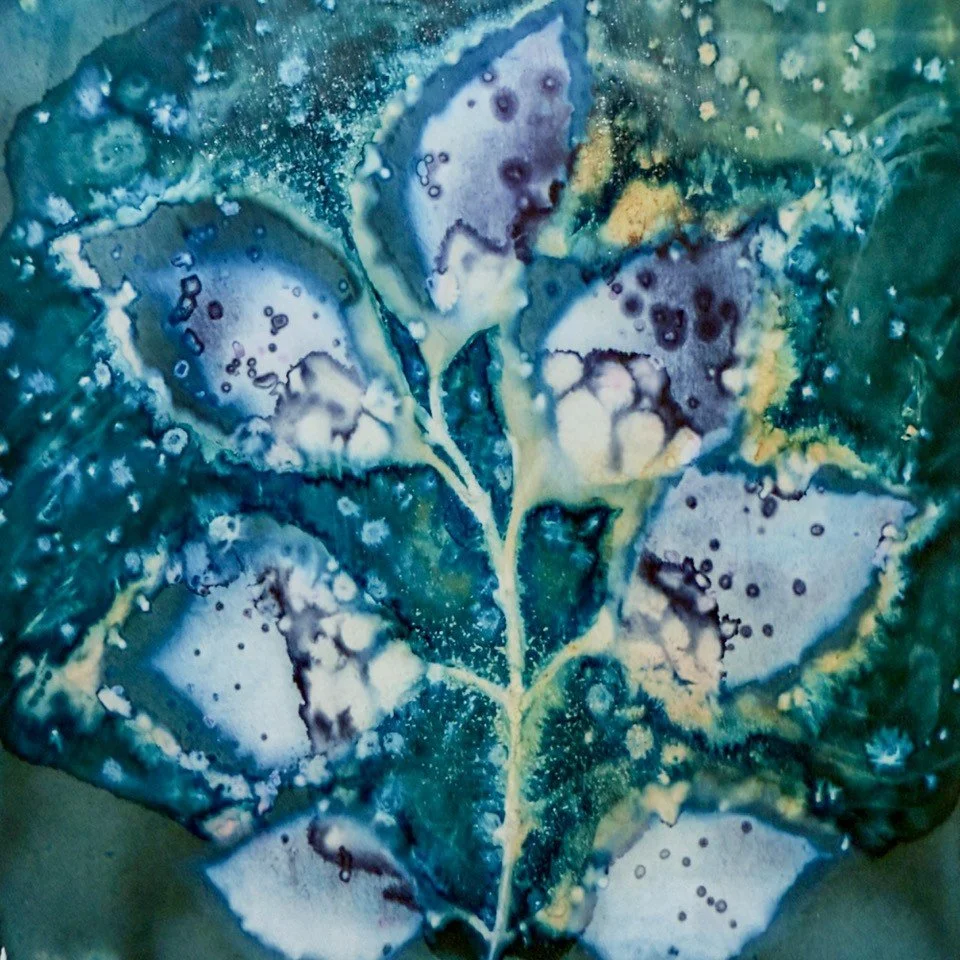 Cyanotype Demonstration with Janet Bernardini