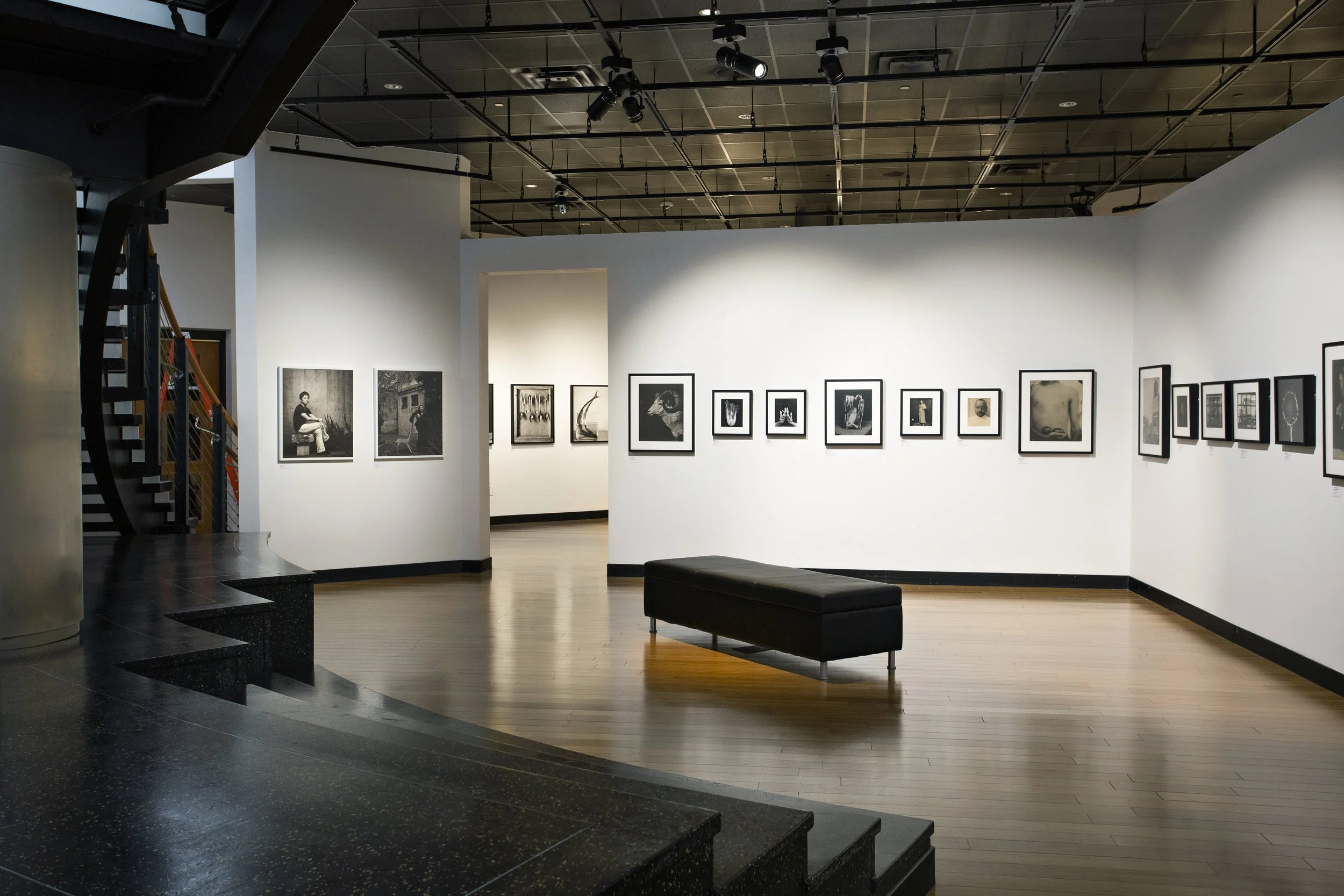 Image of the view of the lower gallery with Robert Maxwell images on the wall