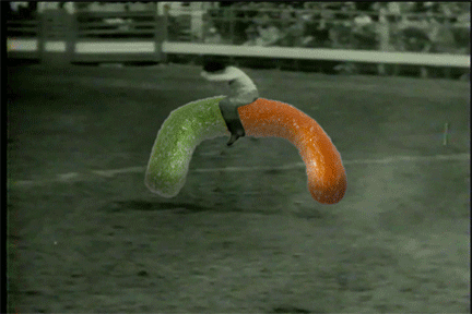 rodeo.gif