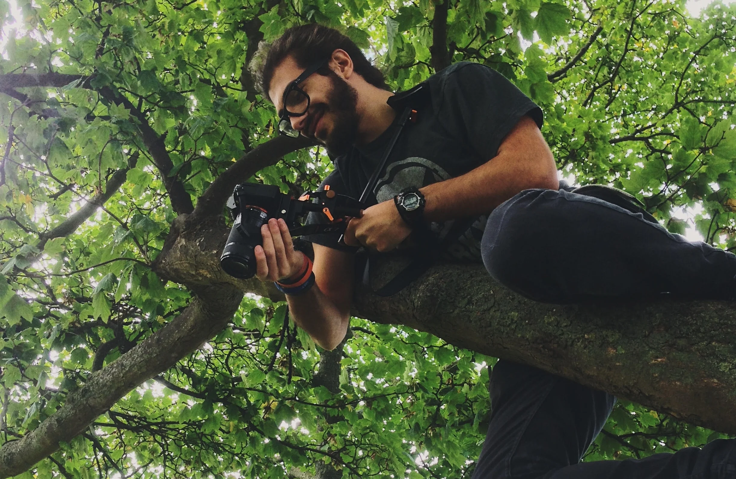 Tree Photo.jpg