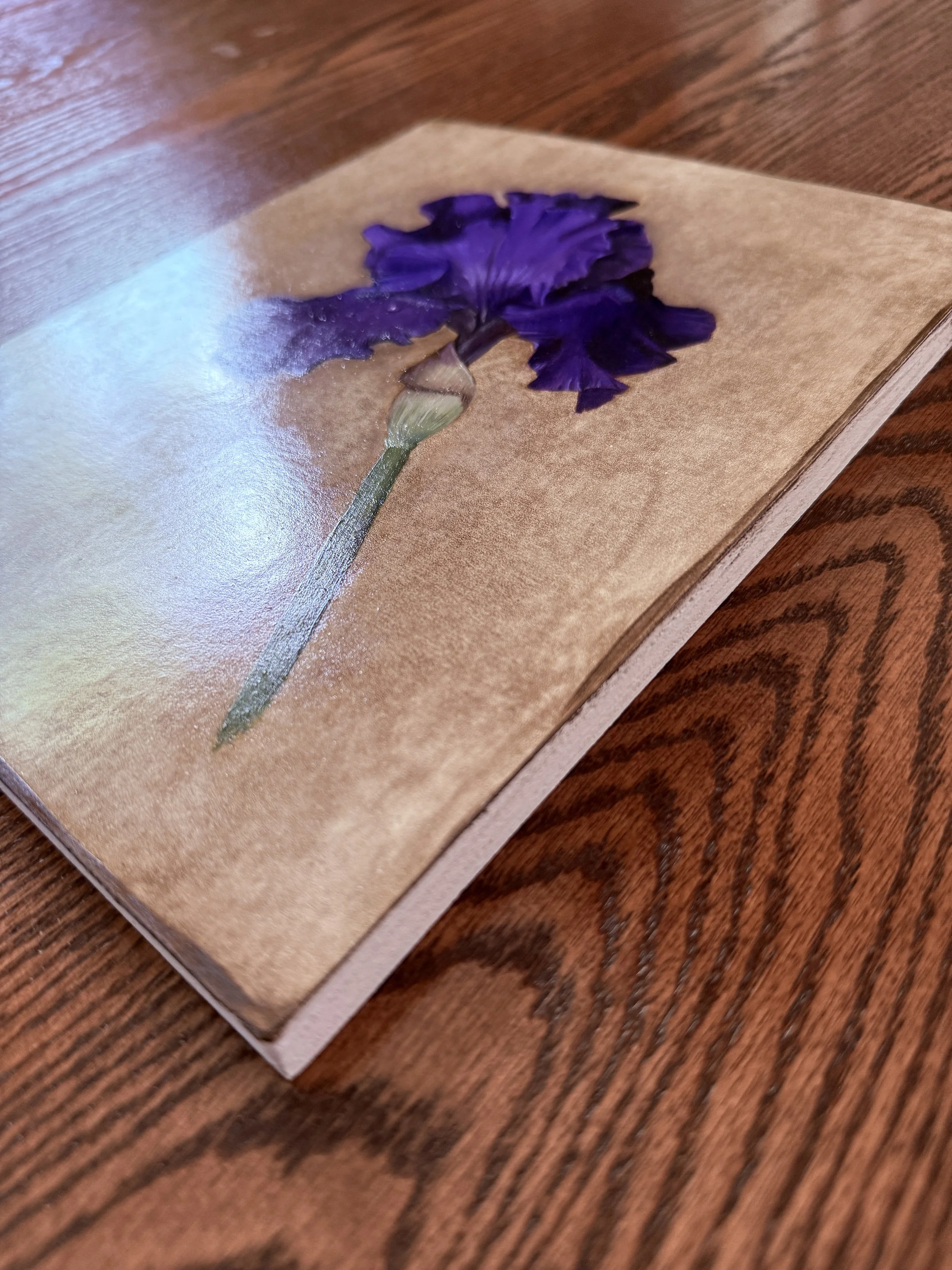 Iris 3.JPG