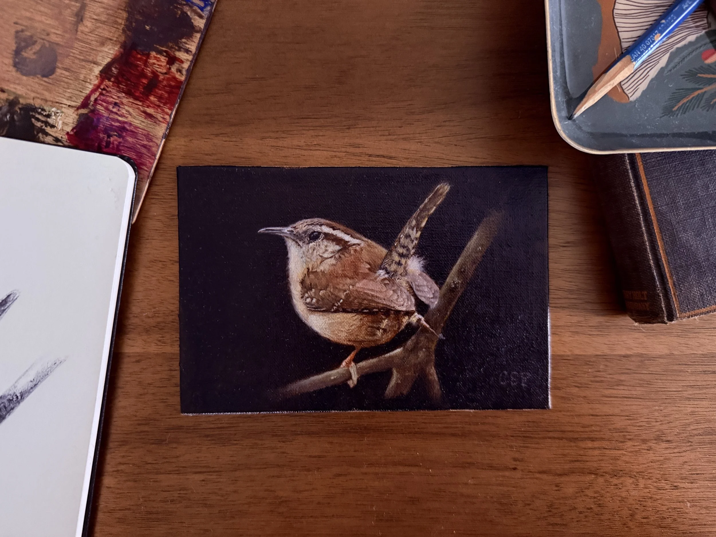 Carolina Wren Study II.jpg