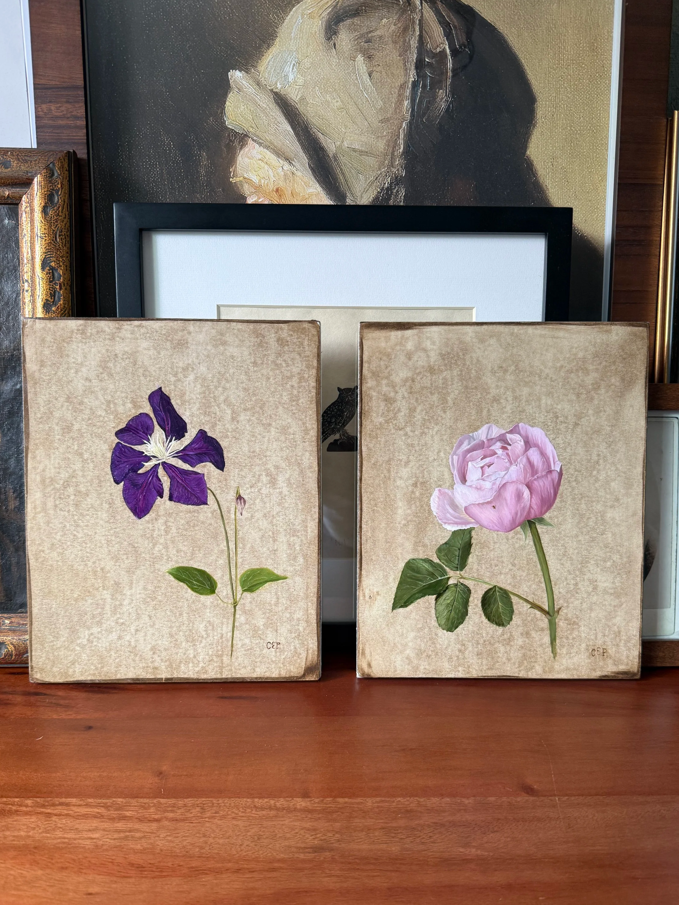 Rose+and+Clematis+2.png