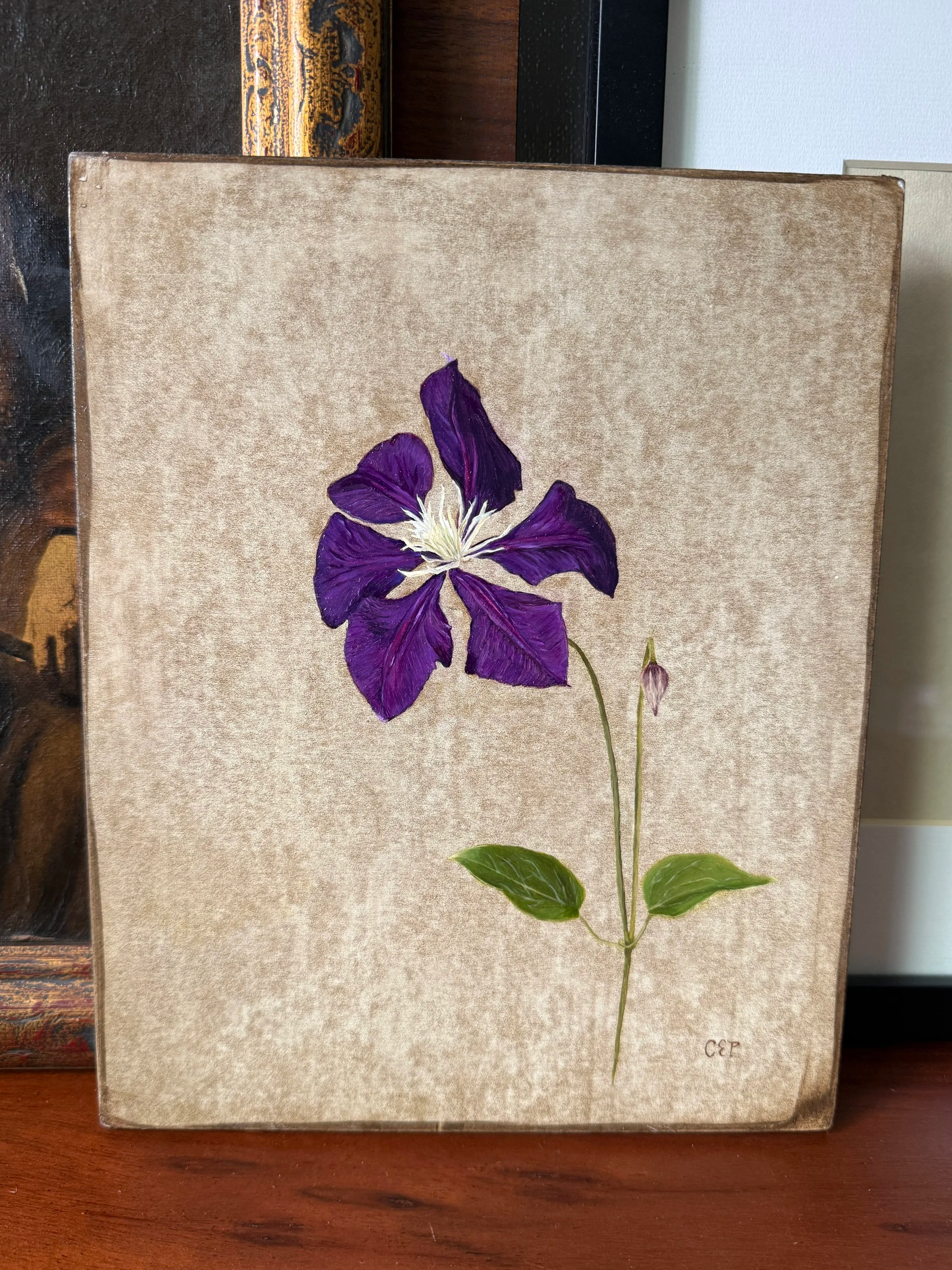 Clematis+1.png