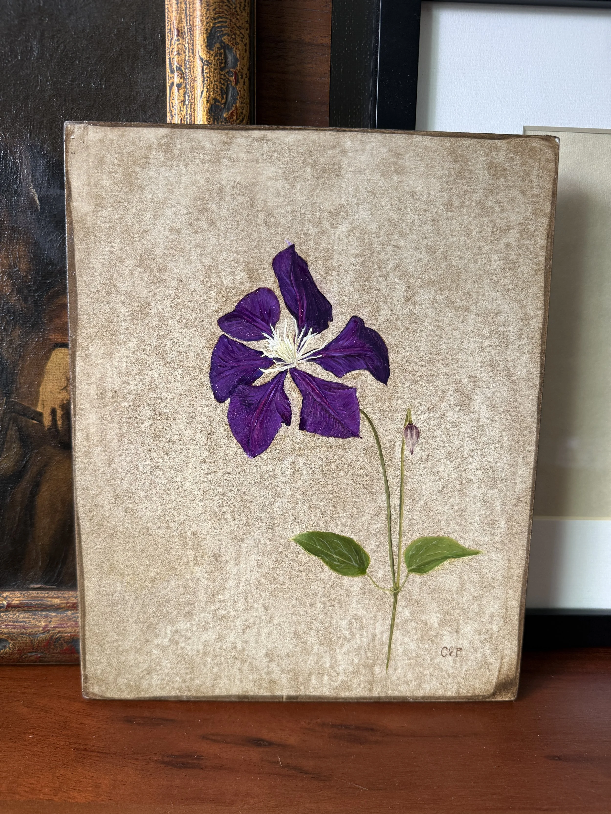 Clematis Study (Unframed)