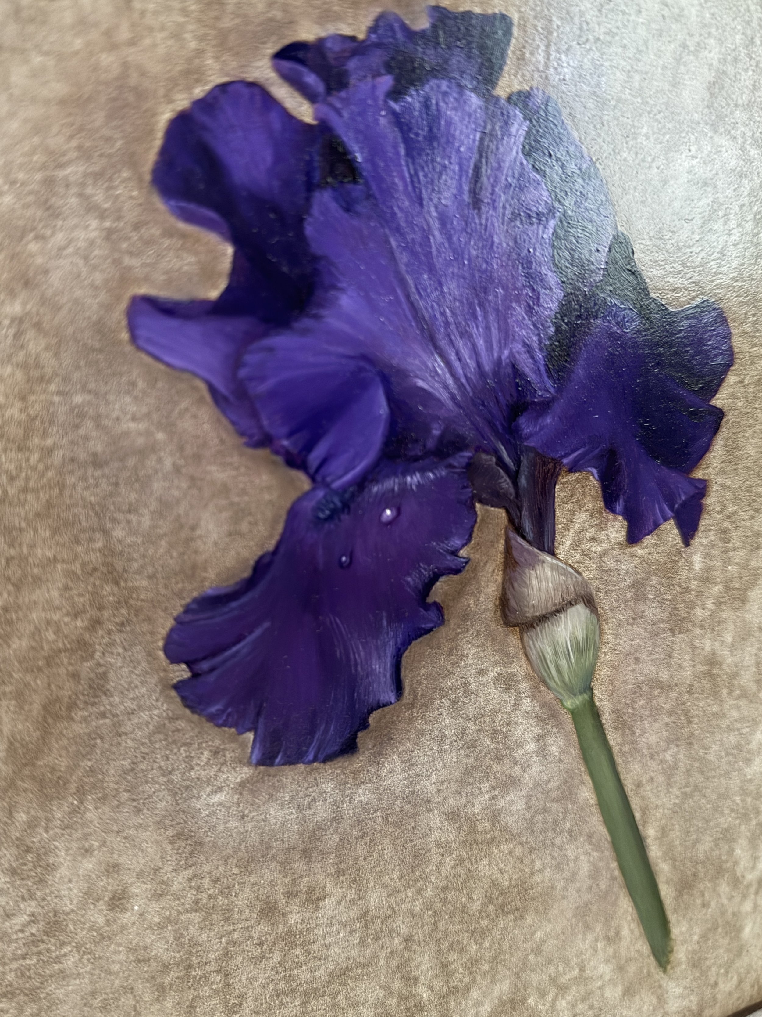 Iris 4.jpg