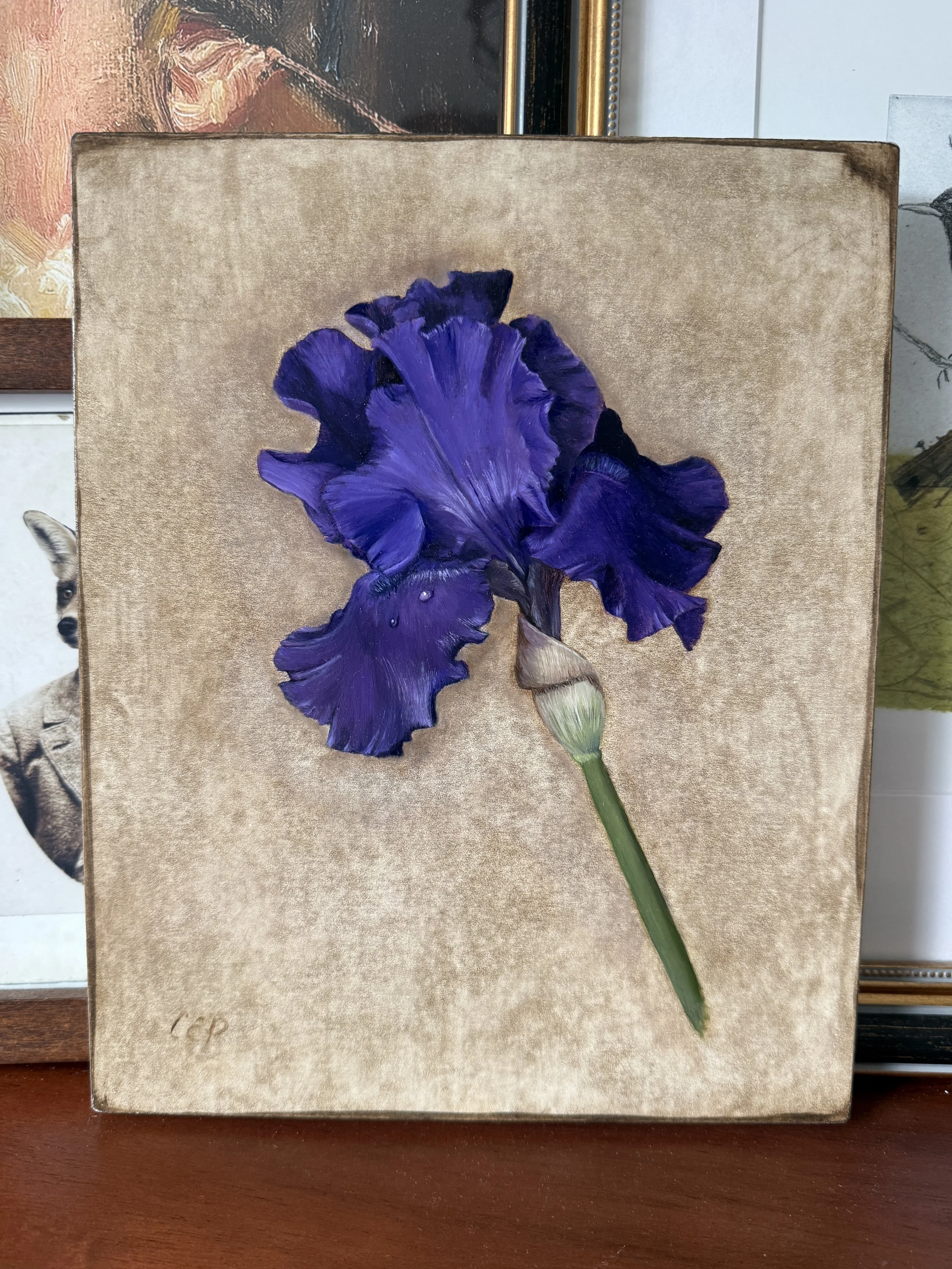 Indigo Iris Study (Unframed)