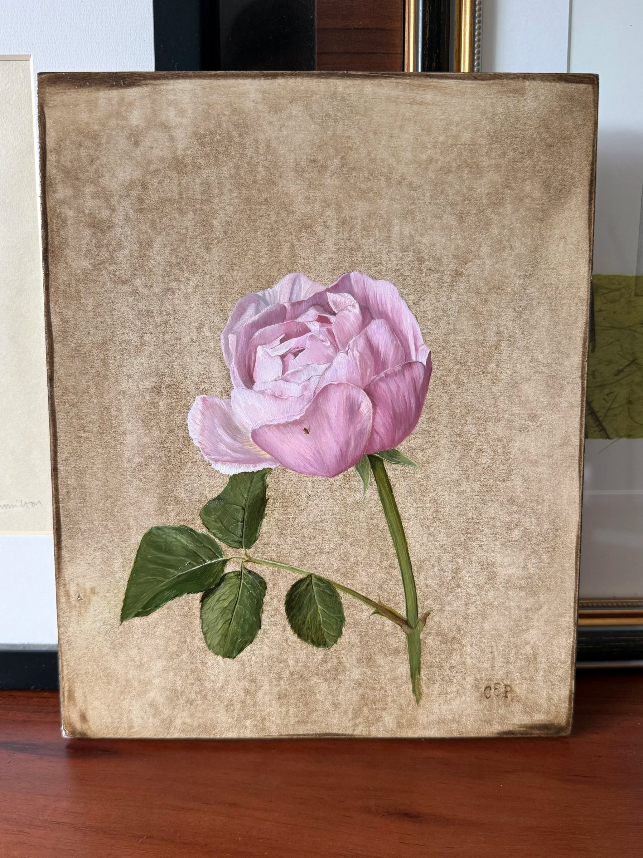 Rose+1.png