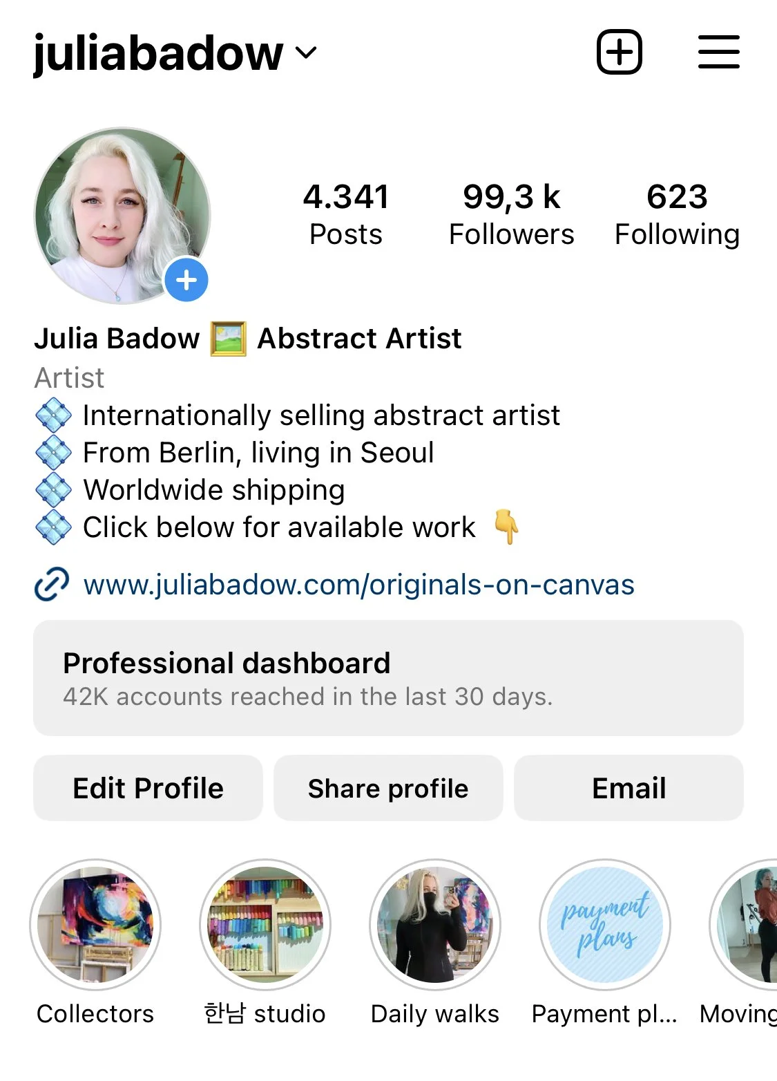 Instagram audit