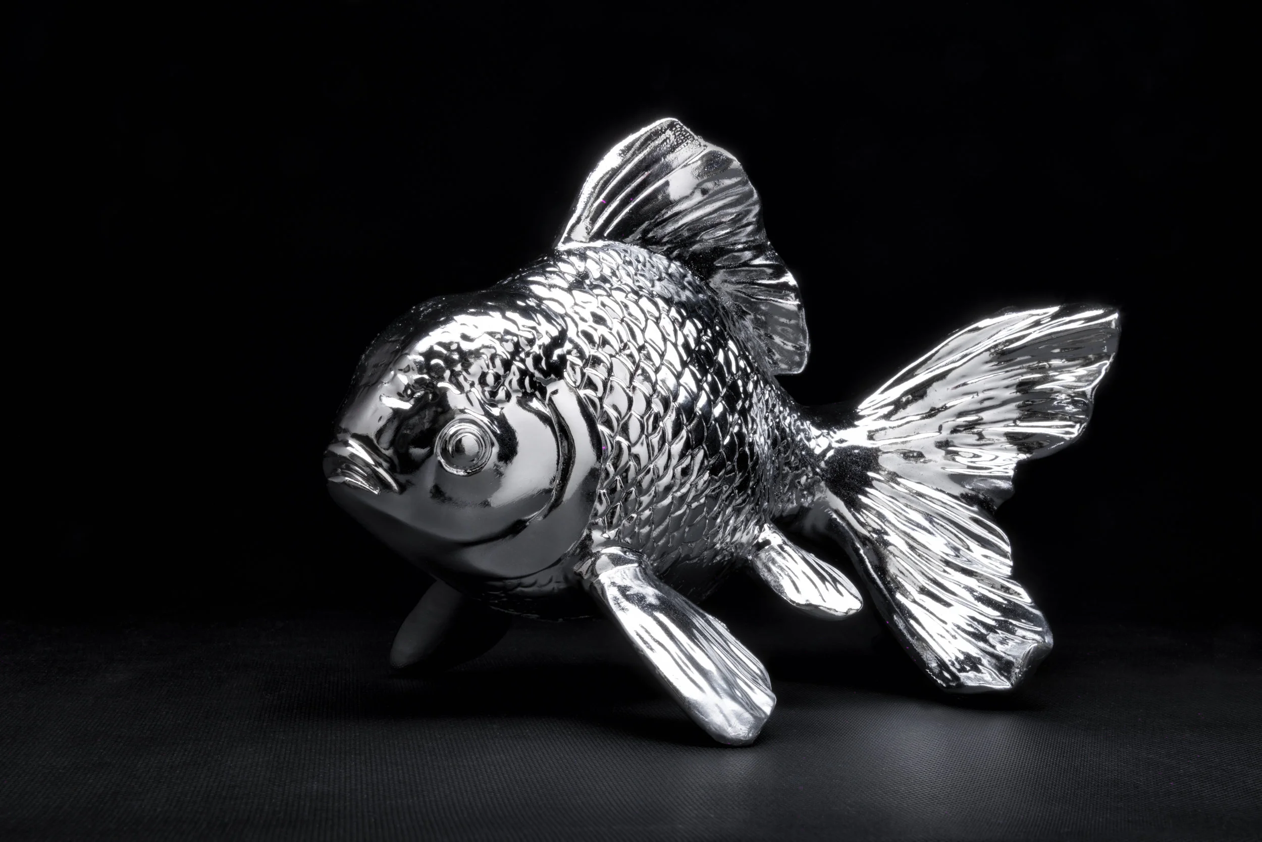 Fish.jpg