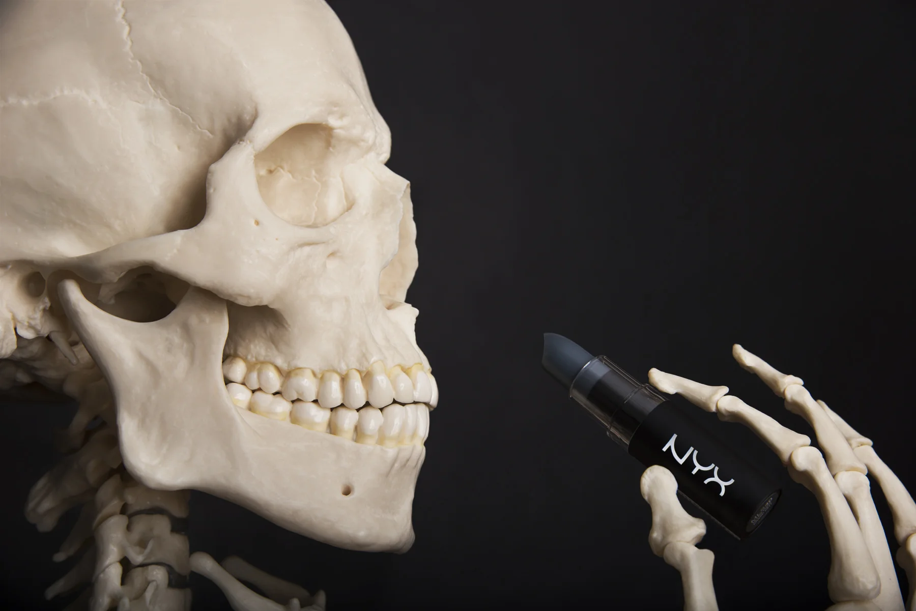 SkeletonEDITED.jpg