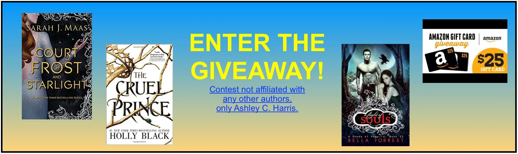 biger web graphic.jpeg