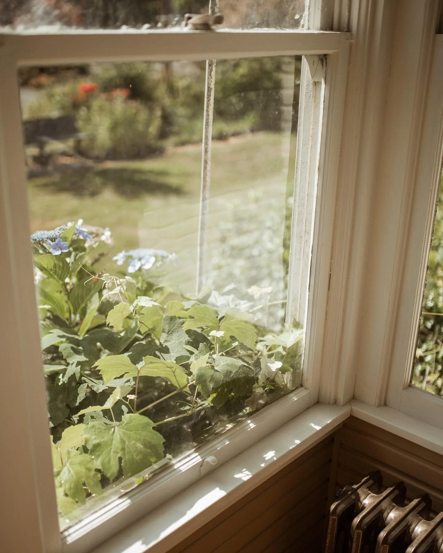 I spent August enjoying the Stevens Crawford Heritage house, and now as I am pouring over the photographs, I&rsquo;m falling for the space again. Here are a few of my favorite quiet moments. #stevenscrawfordheritagehouse #artistsresidency #artistinre