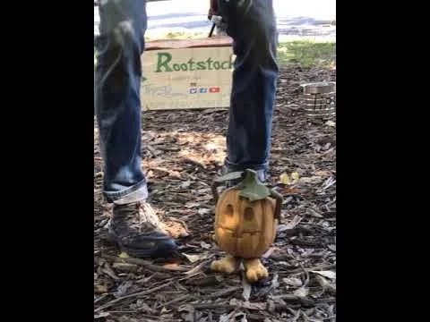 Peek-a-boo Pumpkin (Video)