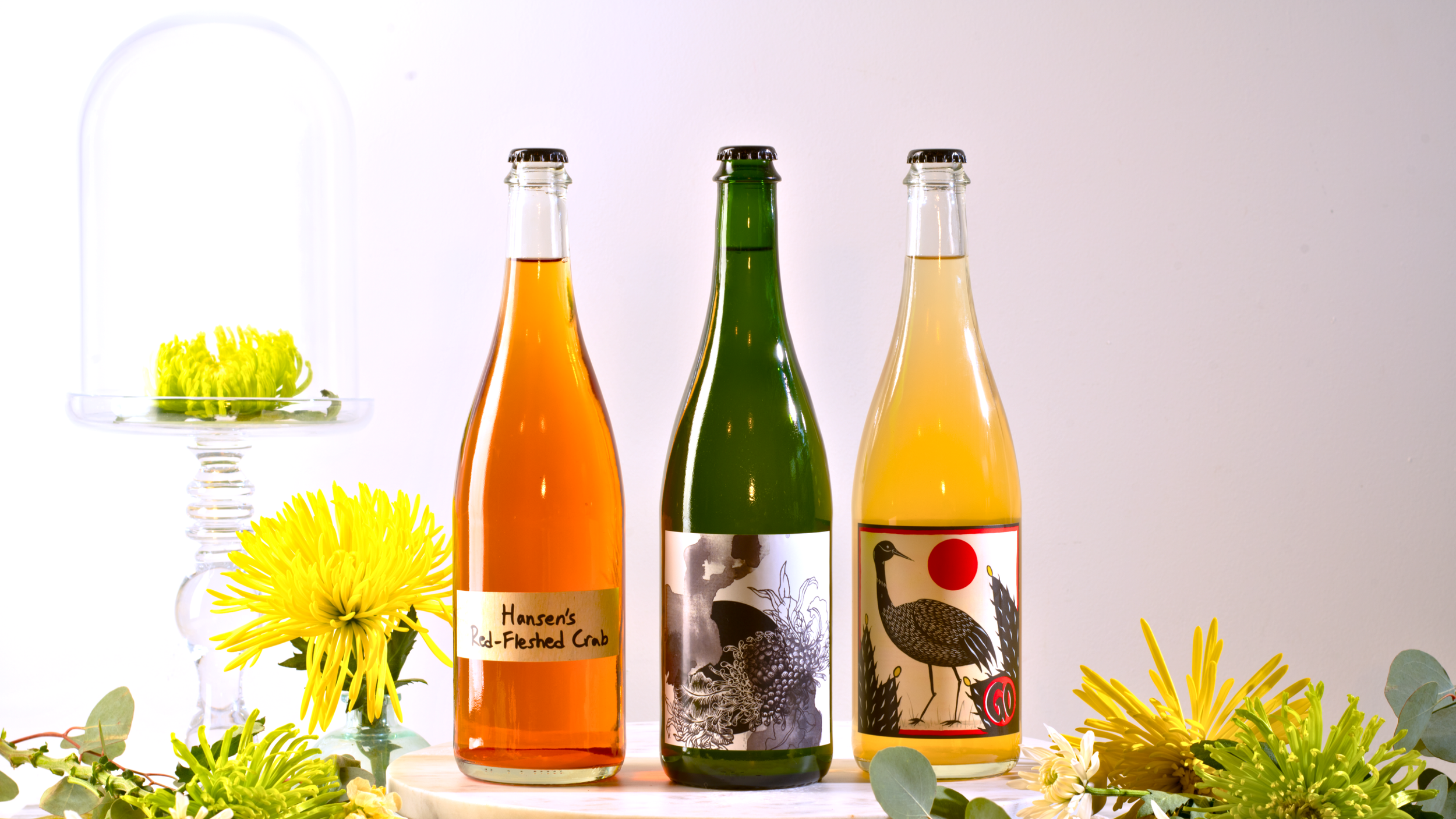 Untitled design(14).png