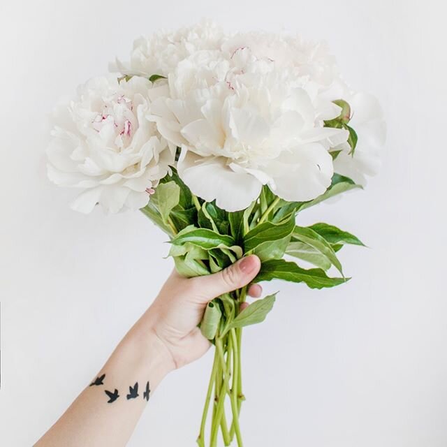 Today is National Nurse&rsquo;s Day, we just want to take today to thank all the nurses, doctors, frontline healthcare workers, hospital workers, and essential workers who are all risking their health to help others 🤍💐