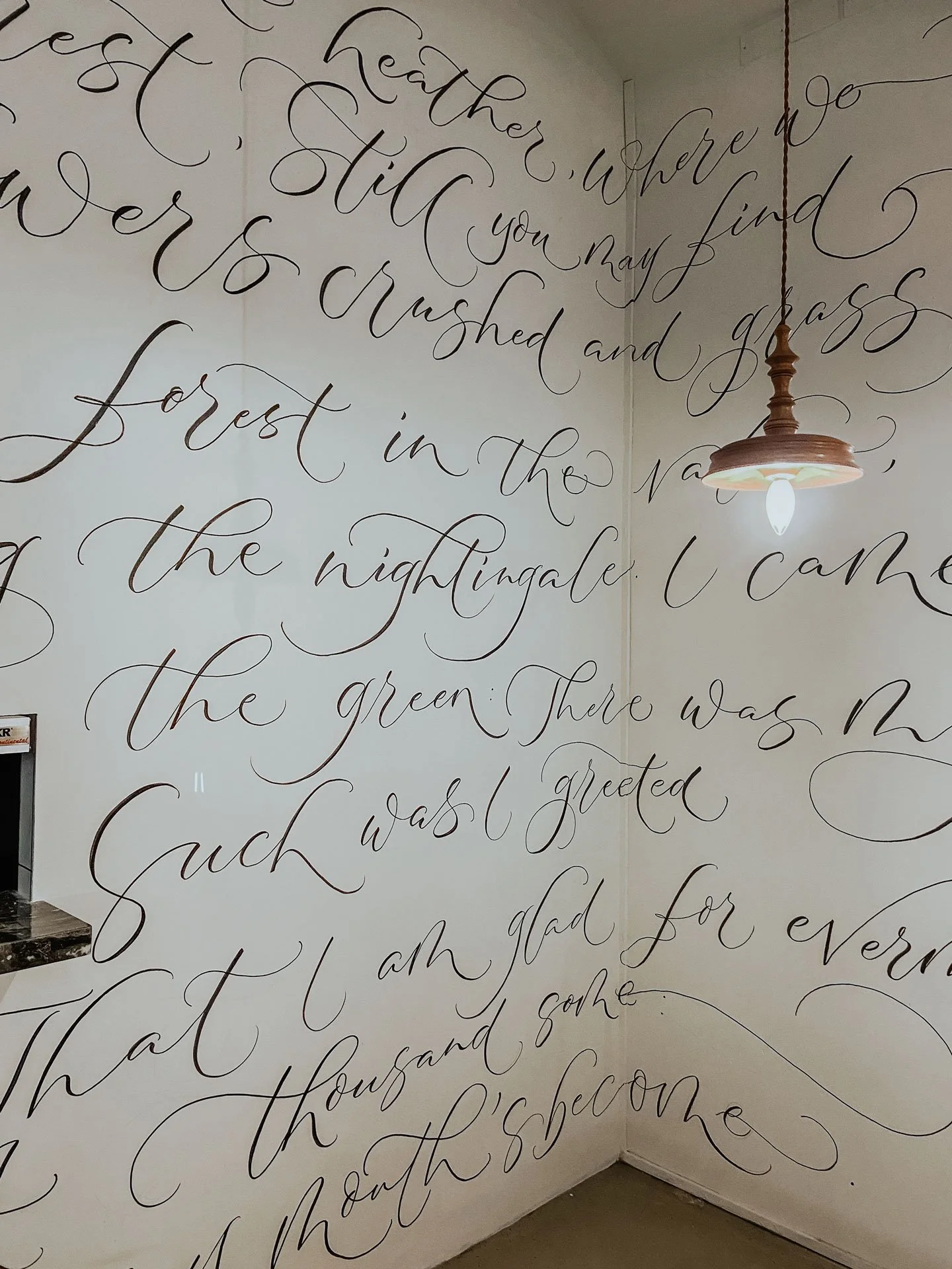 Caligraphy Cladding Under Der Linden | Calligraphy Wall Mural — Leah Design | Custom Hand ...
