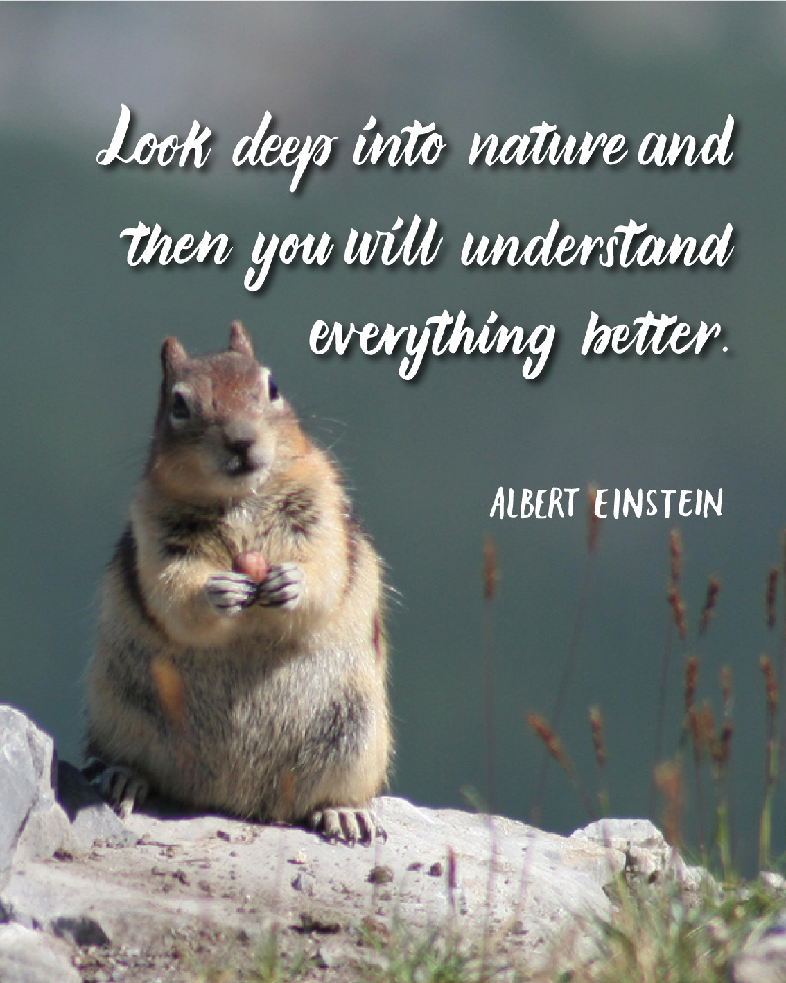 DONE-look-deep-into-nature,-and-then-you-will-understand-everything-better---albert-einstein.jpg