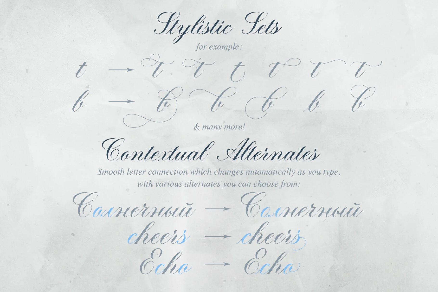 Stylistic-Sets-&-Alternates.jpg
