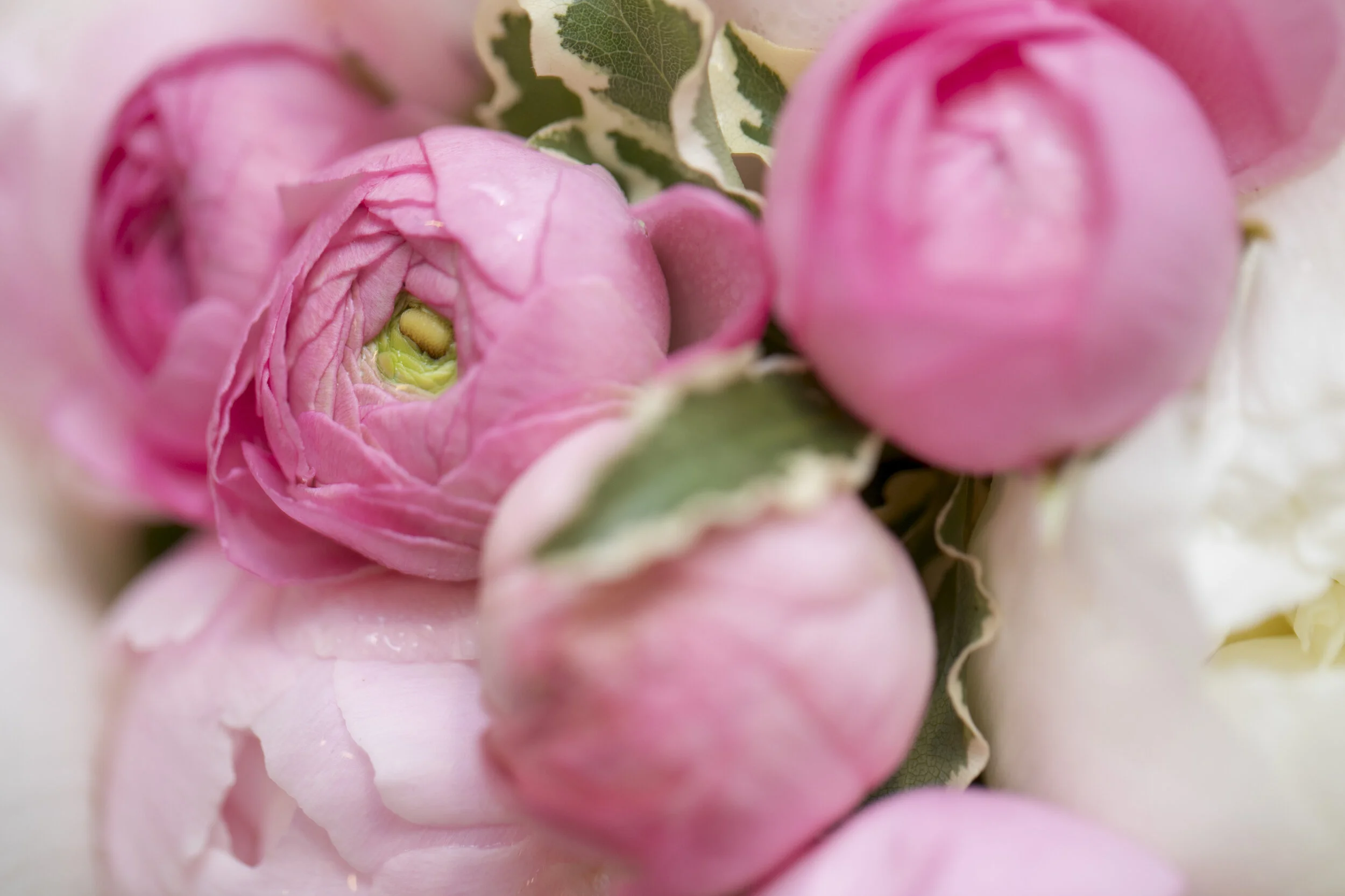 Flowers By Danielle
