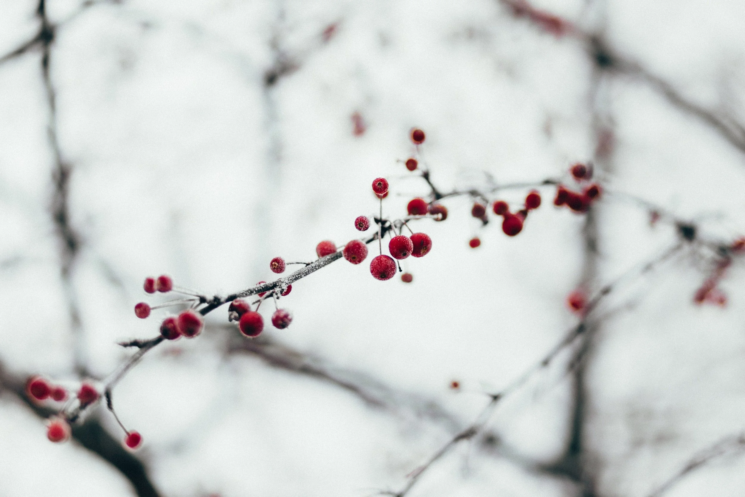 3 Tips for Managing Holiday Family Stress