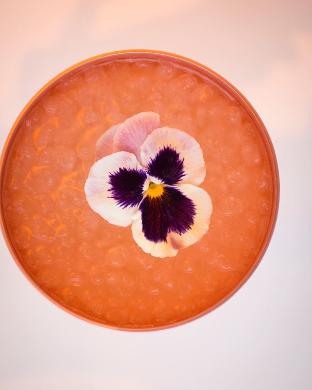 A birds eye view grants a whole new perspective

@absolutelyx @amfar