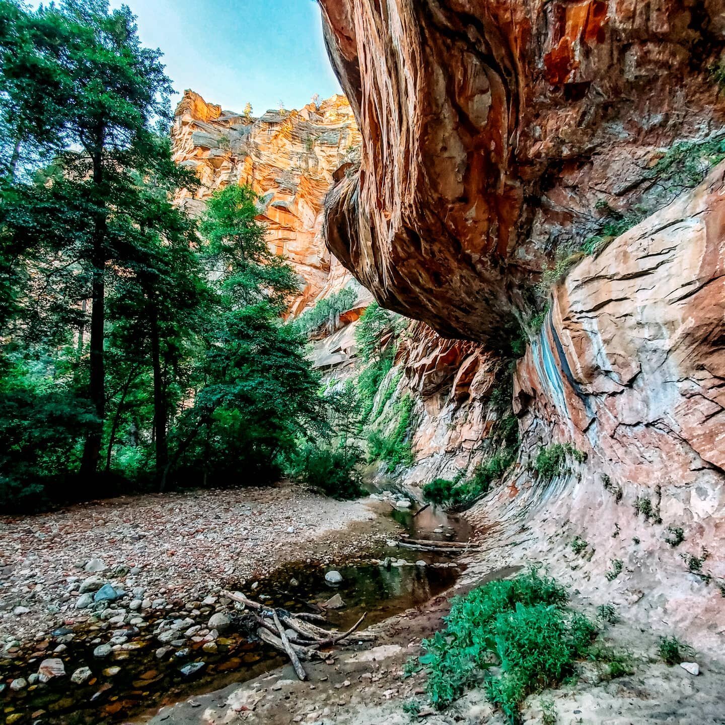 BEST HIKES IN SEDONA, ARIZONA 🏜️

💫 West Fork Trail [pictured above]
💫 Fay Canyon
💫 Soldier Pass
💫 Cathedral Rock
💫 Devil's Bridge 
💫 Airport Mesa
💫 Boynton Canyon
💫 Bear Mountain

#TravelTuesday