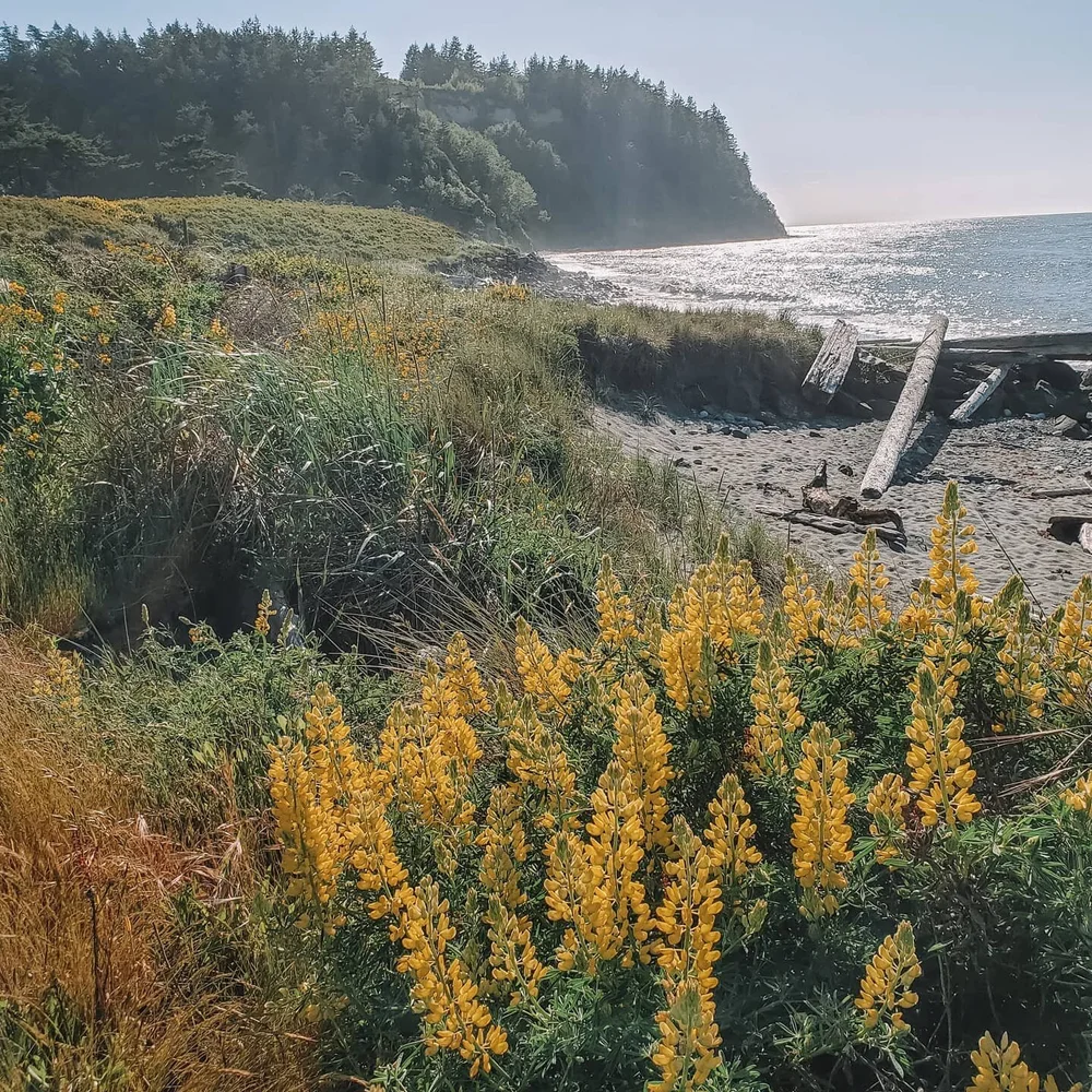 Since I have moved to Seattle, all I've been saying is &quot;oh my god, look at that!&quot; They say that PNW summers are magical and I can already say that I wholeheartedly agree ❤️
