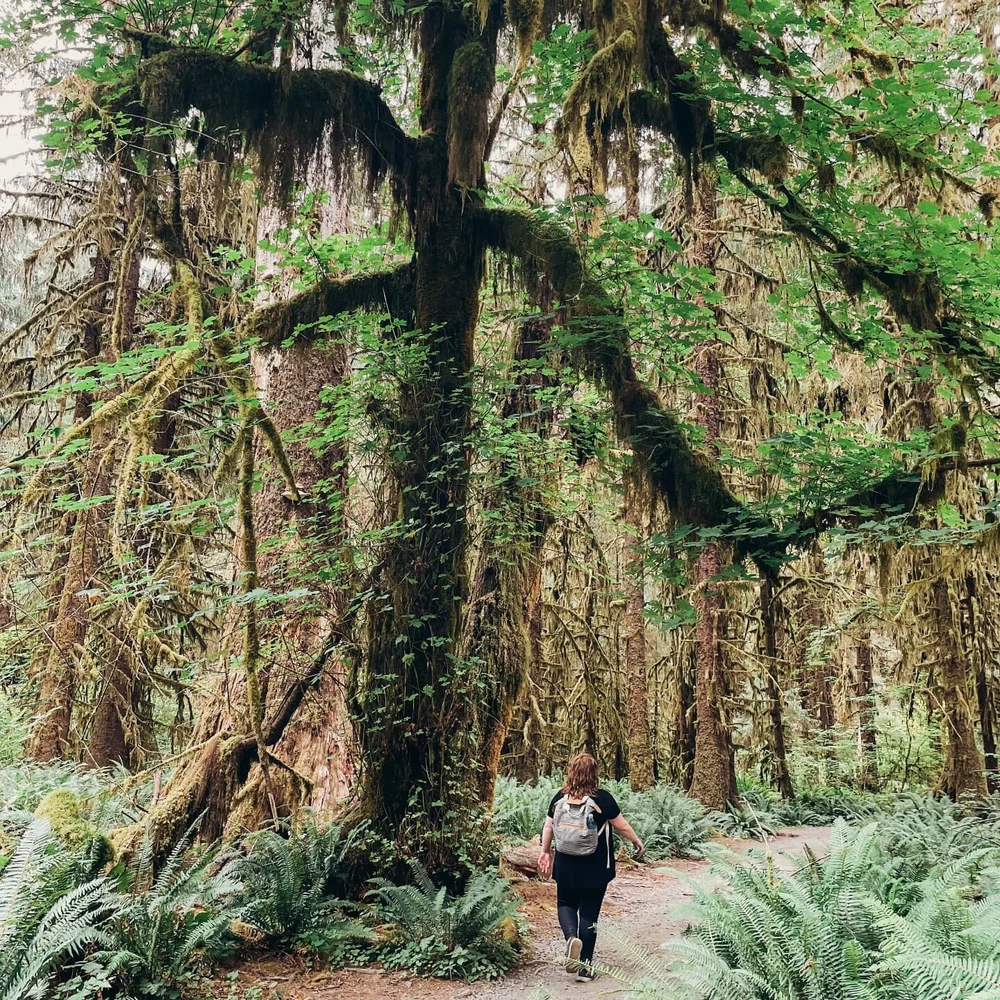 This is your mother speaking... reminding you of some safety tips when getting outdoors this summer.

💫 If you are hiking in the West (and by that I mean California, Oregon, Washington, Idaho, Montana, Nevada, etc), monitor real time wildfire maps a