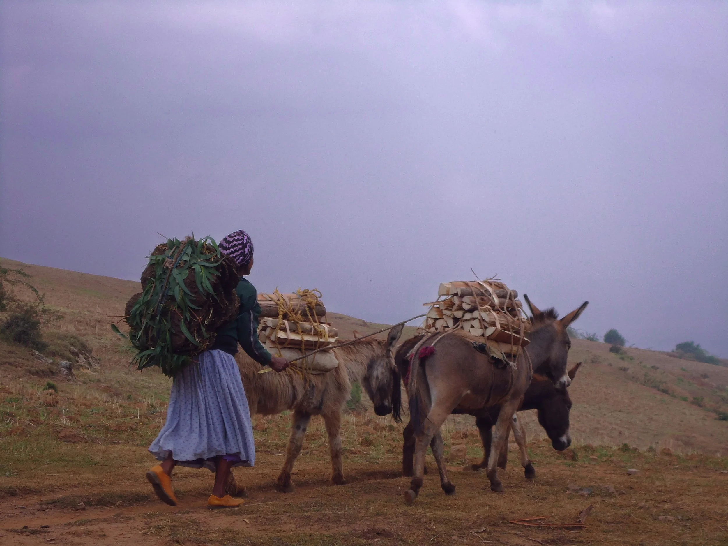DSC01449-EDIT.jpg