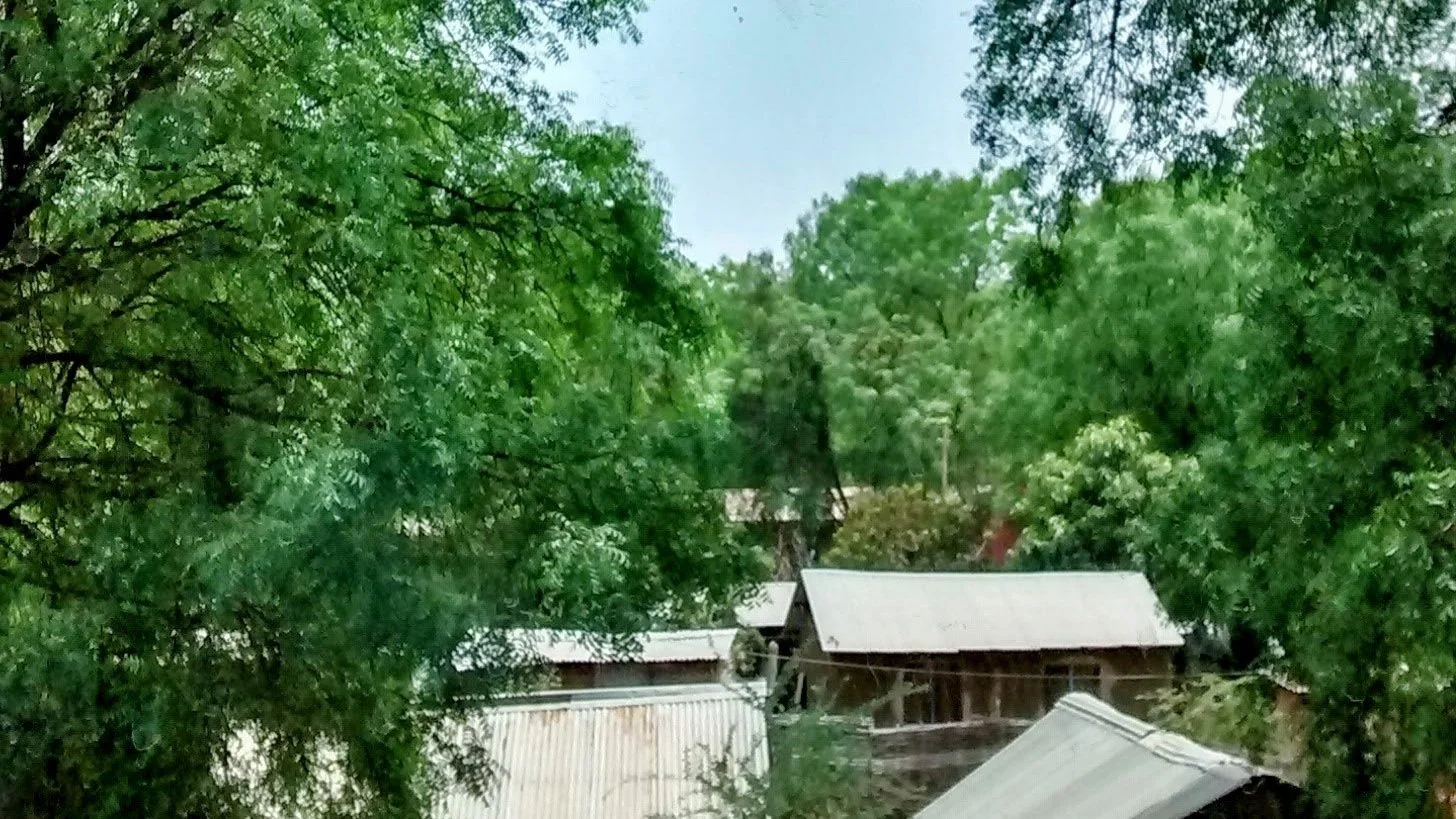 IMG_20160401_071420919_HDR-EDIT.jpg