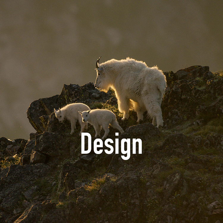 DesignGOATS.jpg