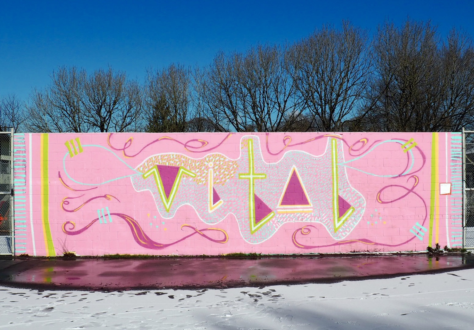 VITAL Robson Park (2018)